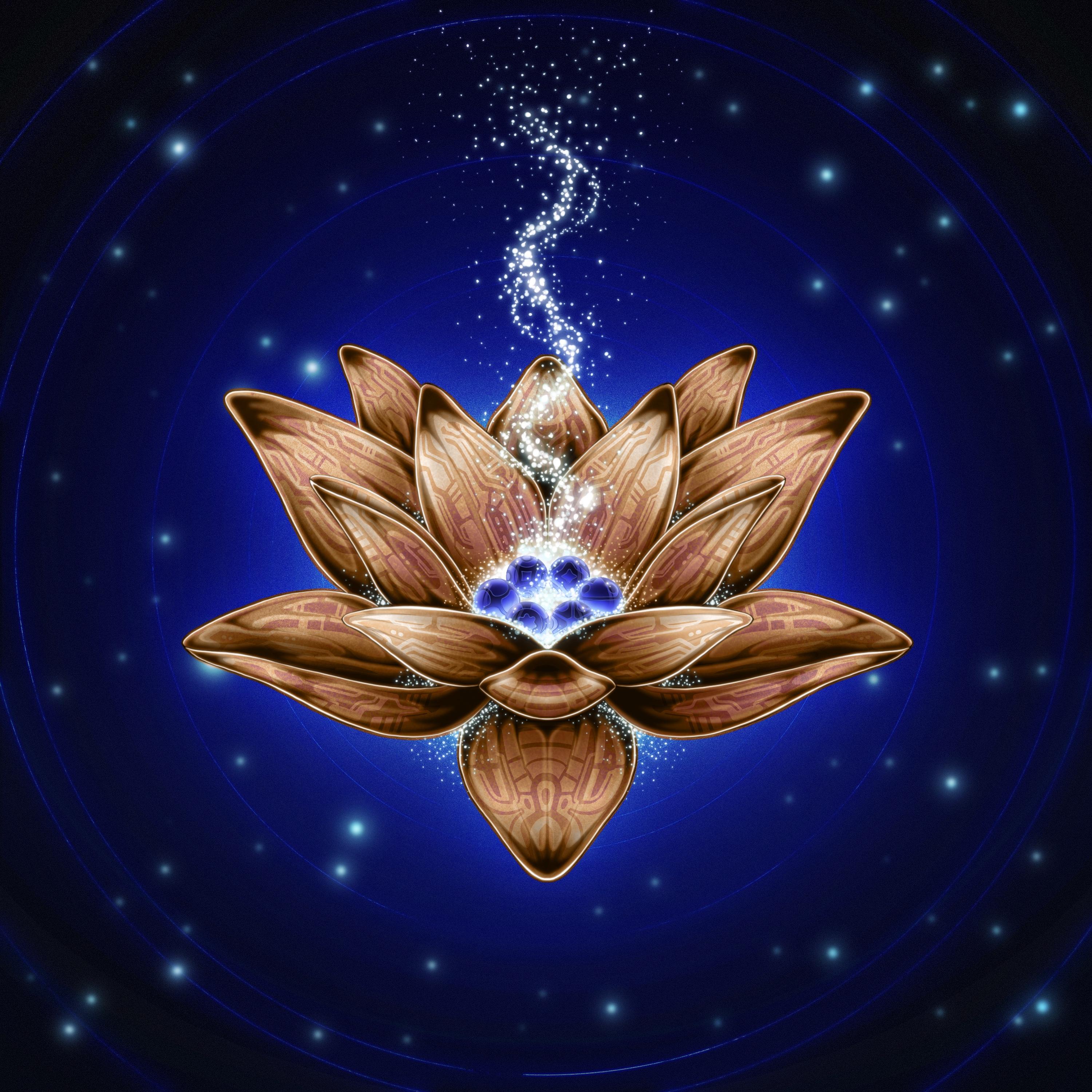 The Lotus Flower
