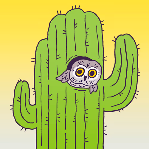 Elf Owl #271