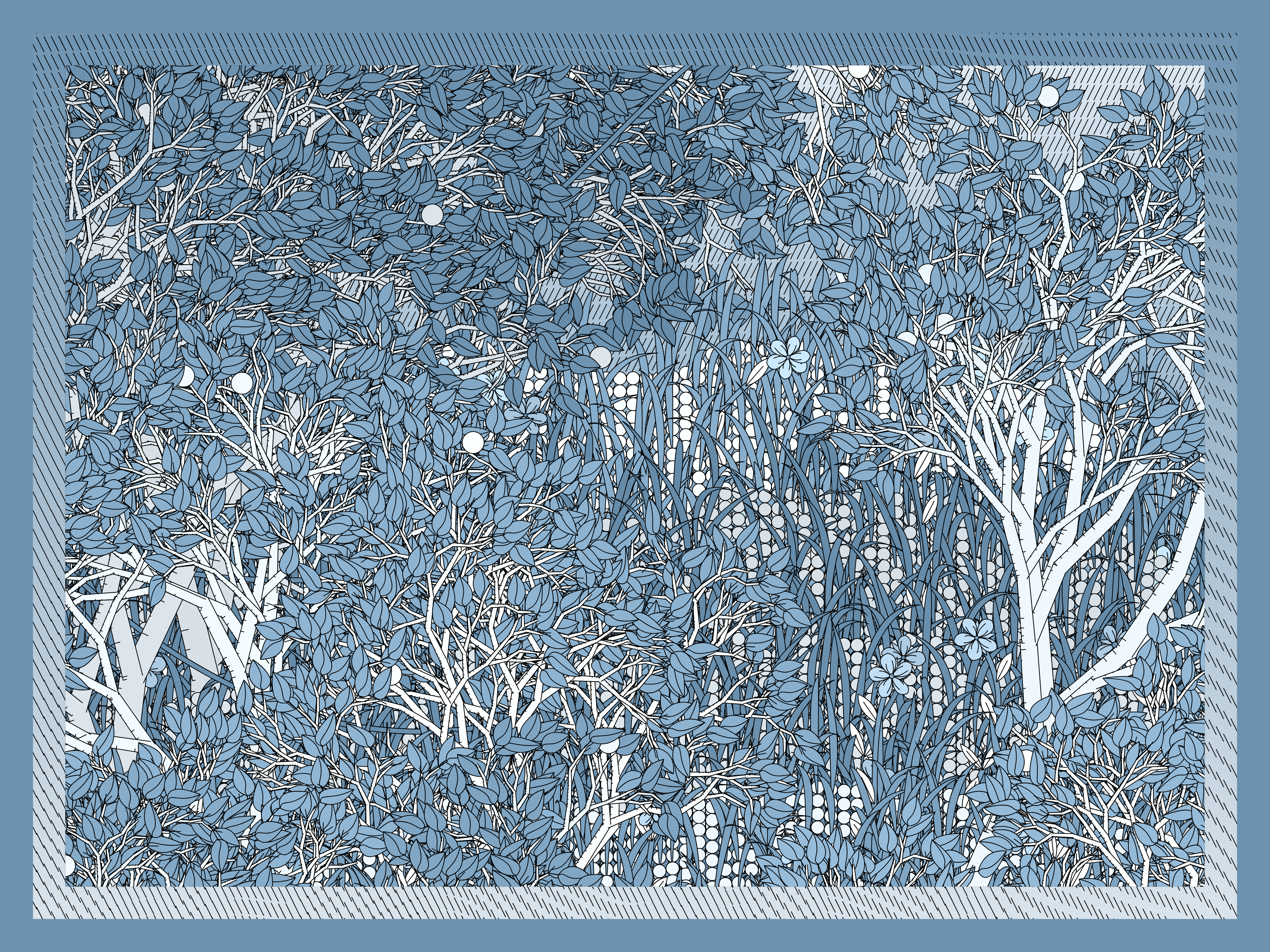 Entangled #29