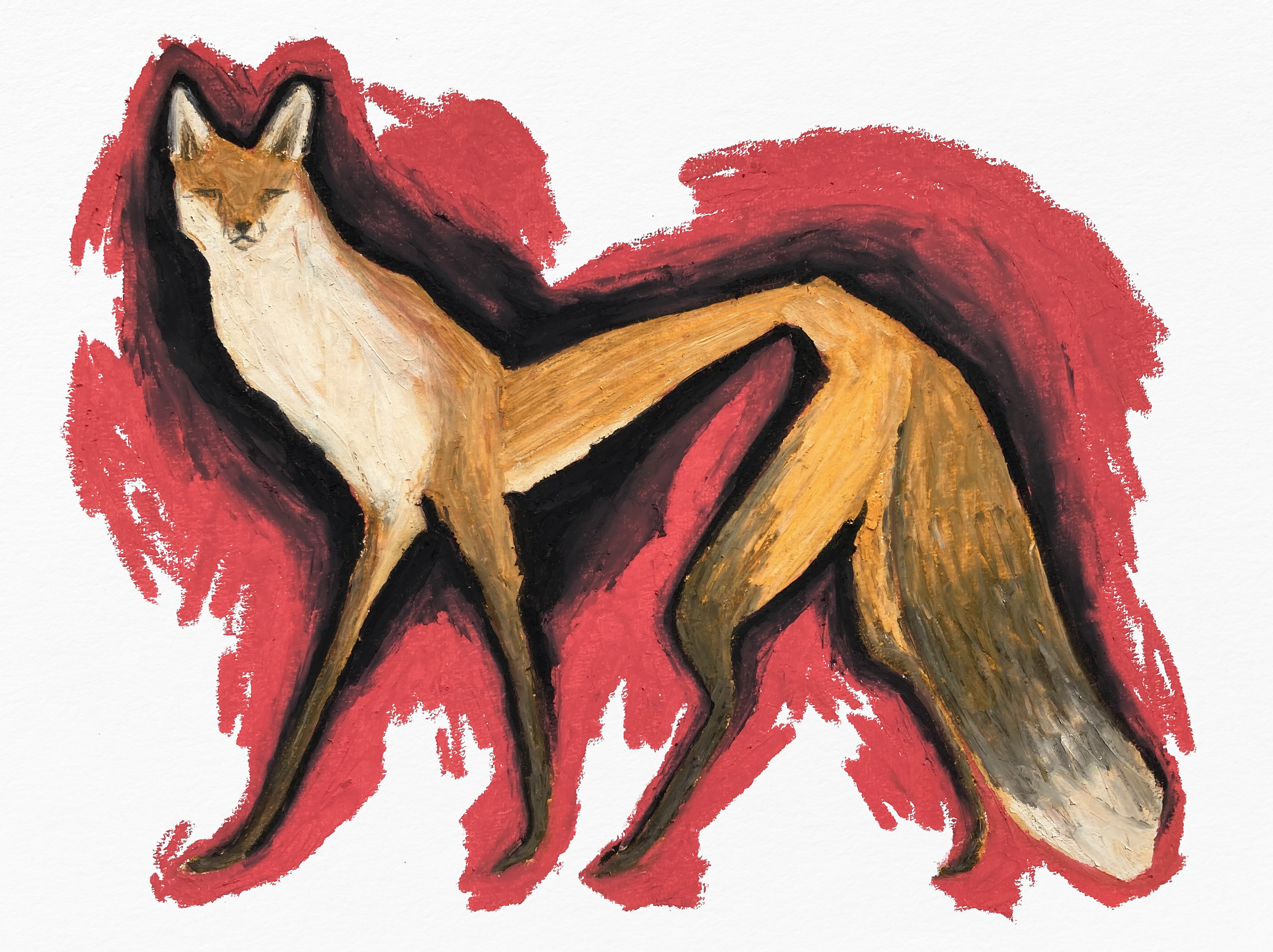 Foxy