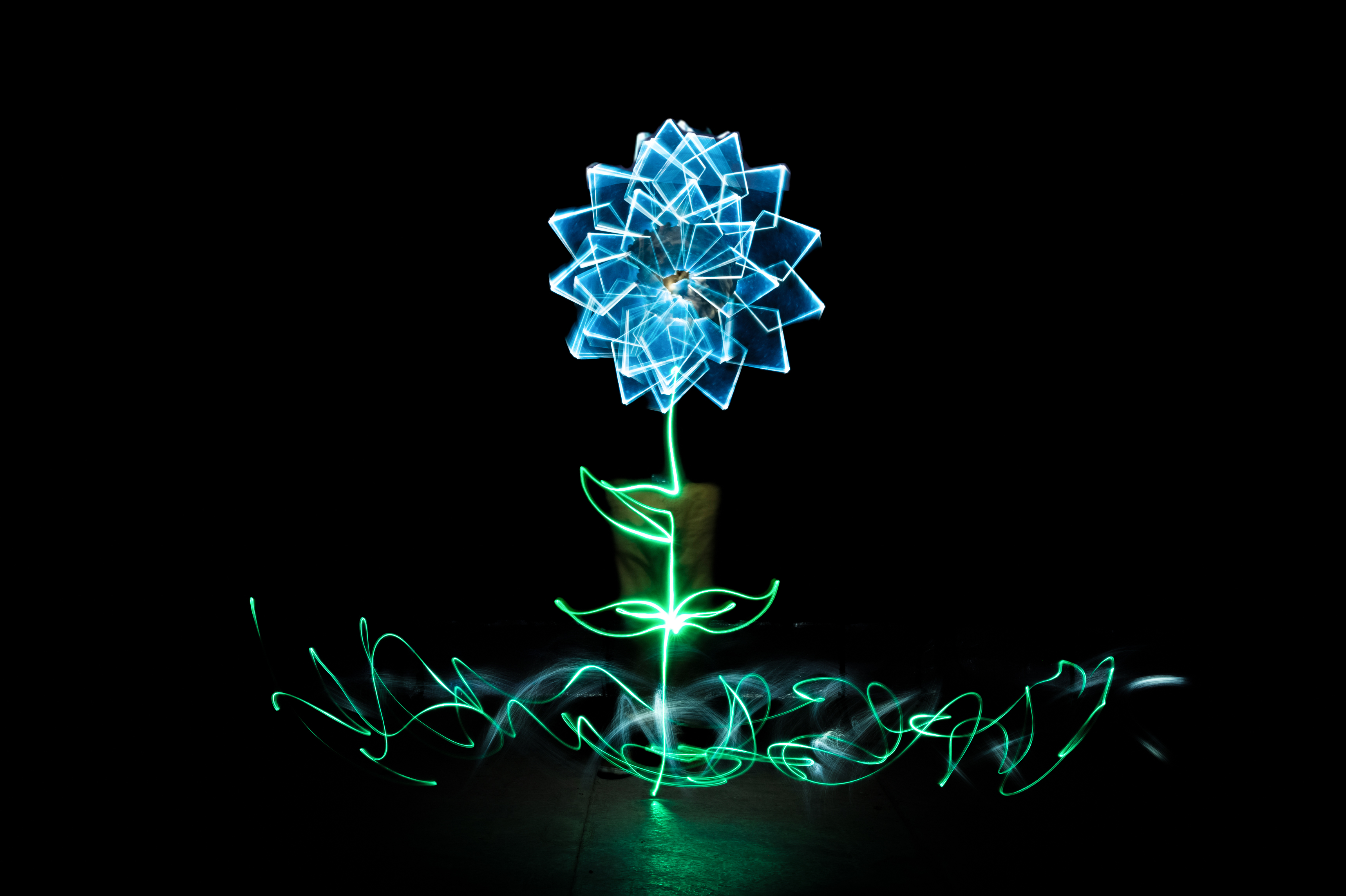 Halo Flower
