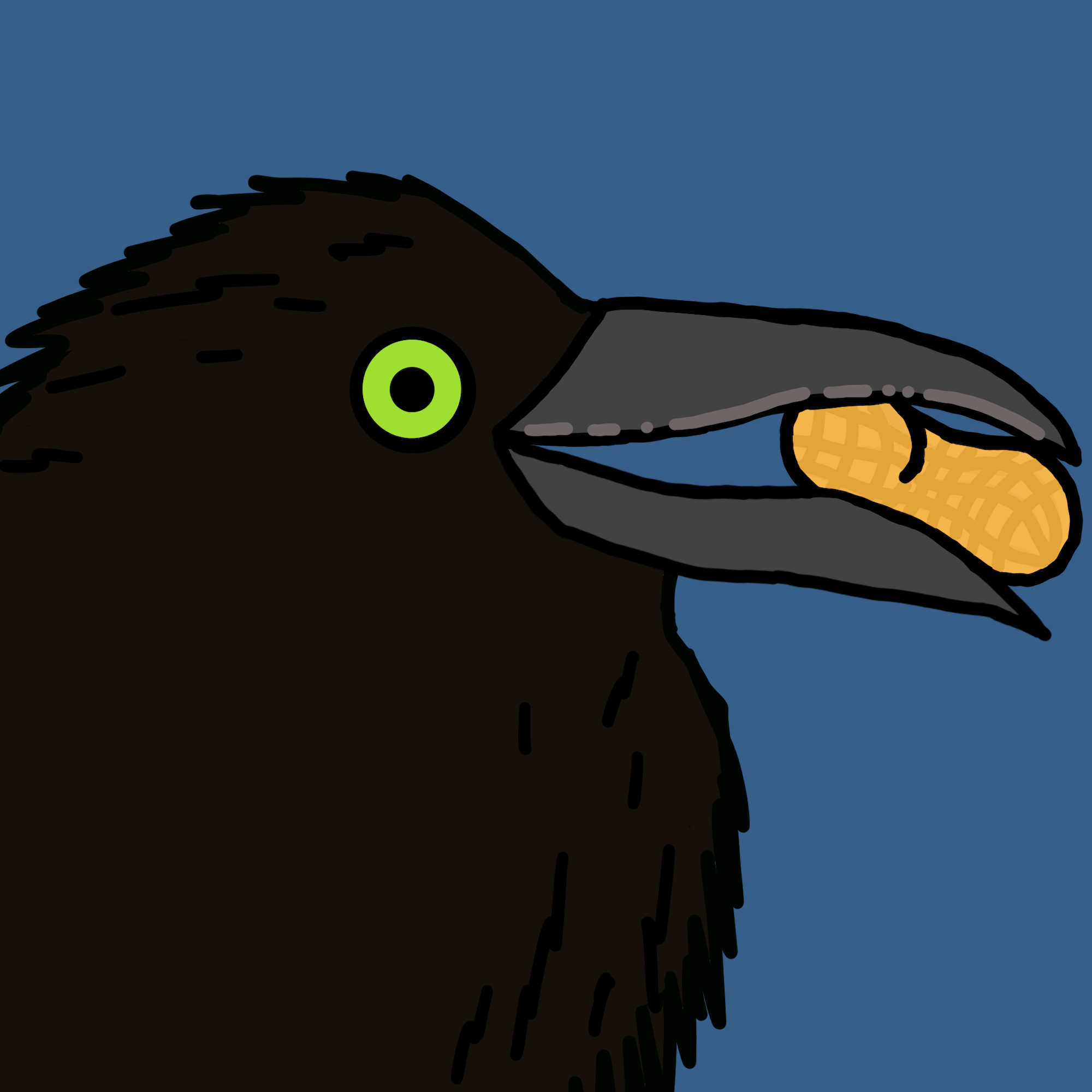 Crow Friends #182