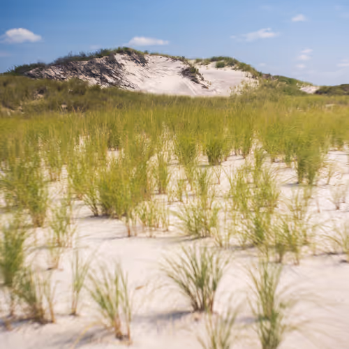 Dune I