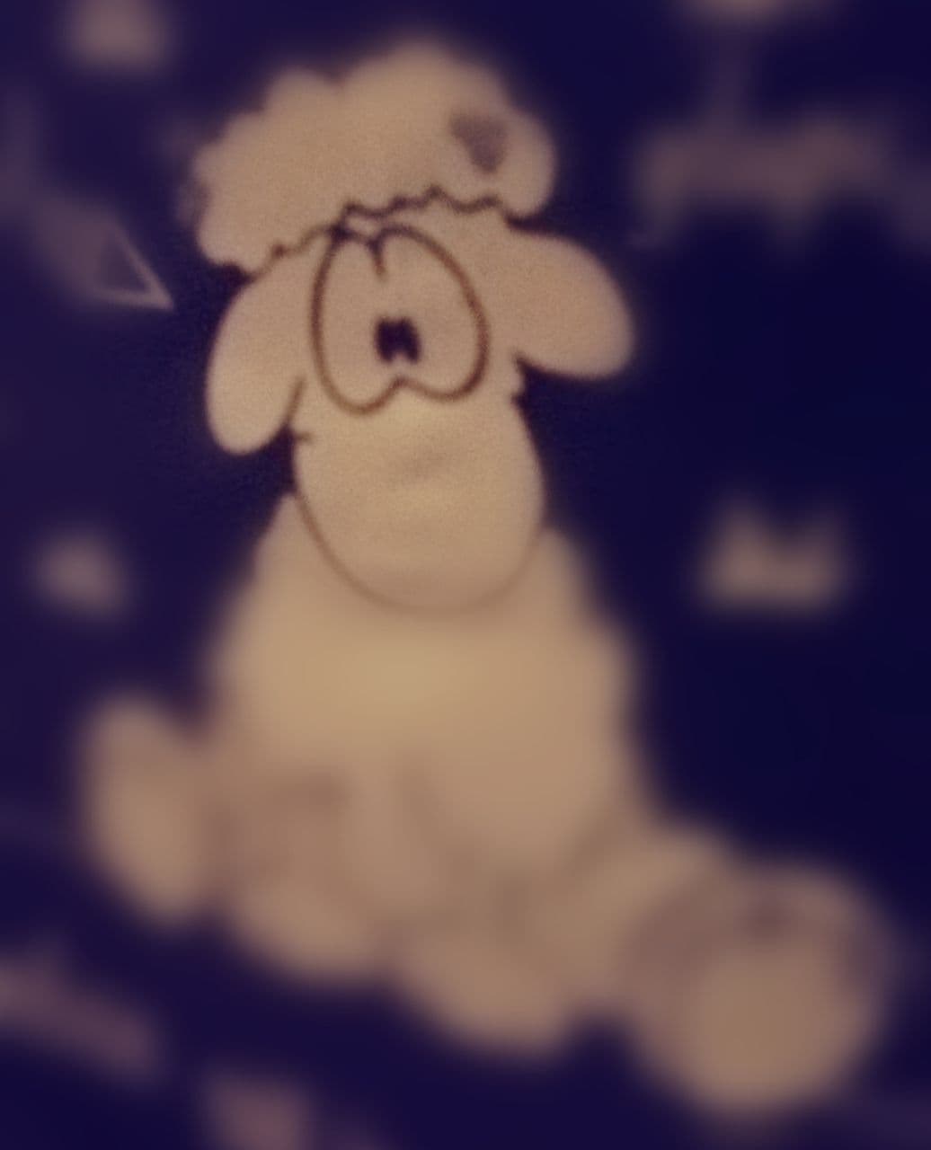 sheep