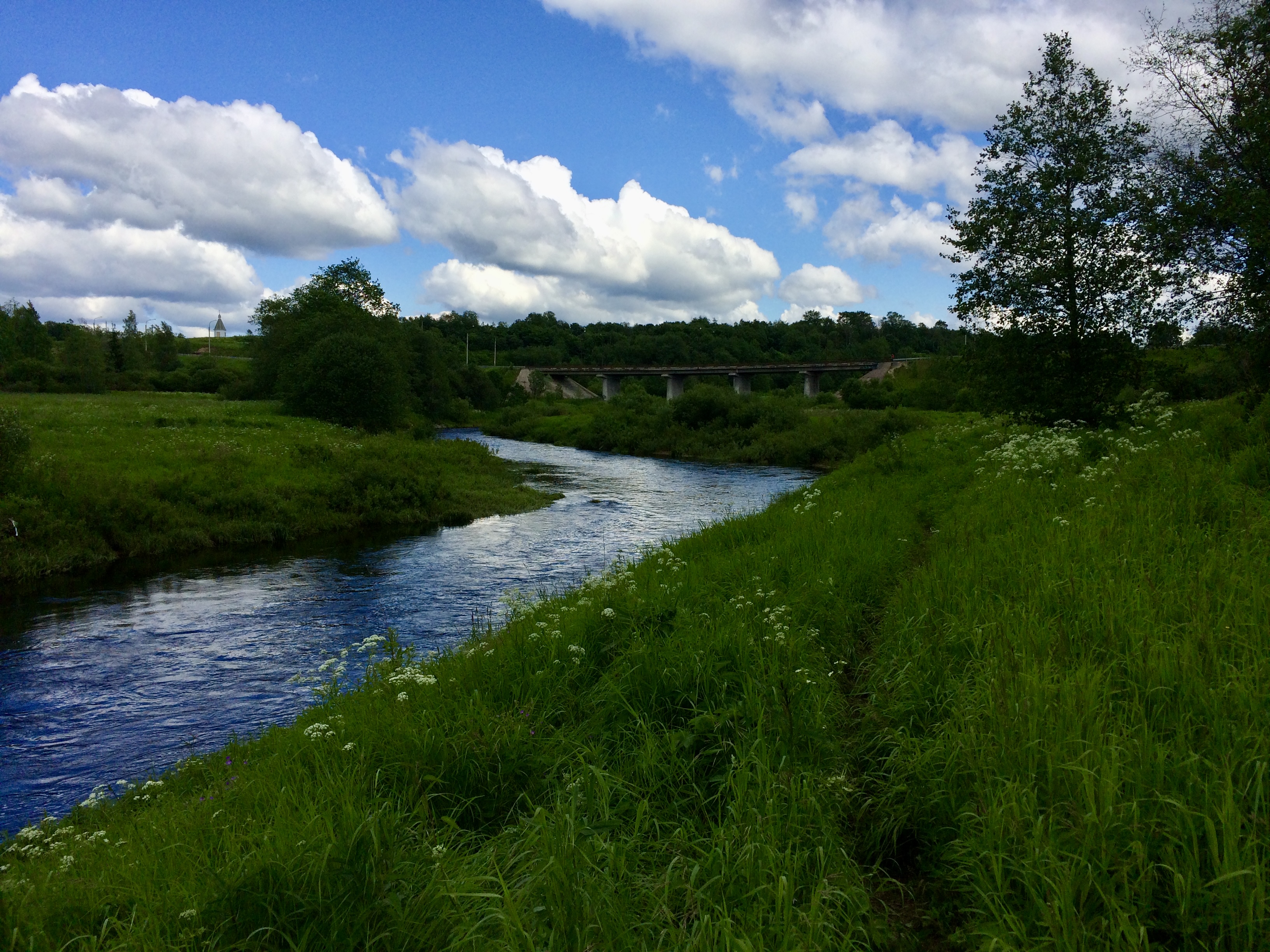 Greeny River