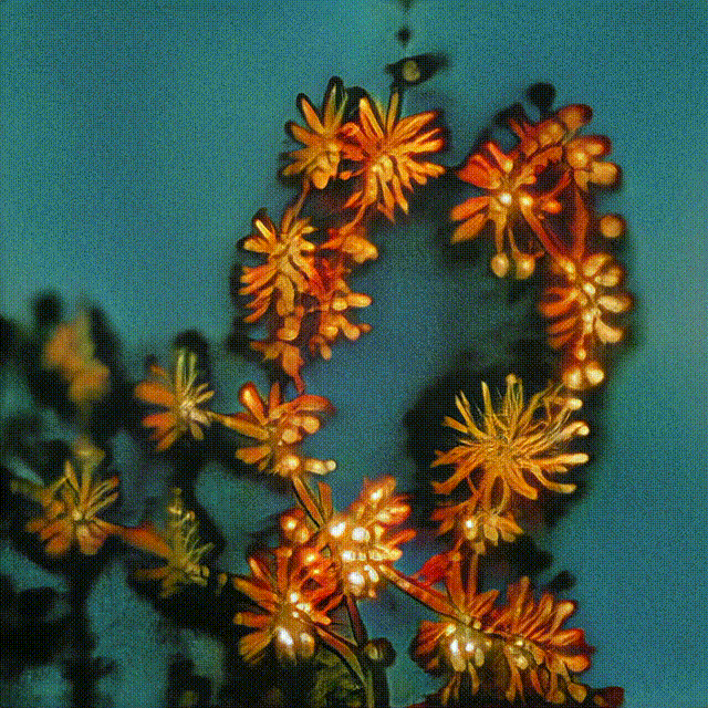278-94 Celestial Transitions, Radiant Metamorphosis