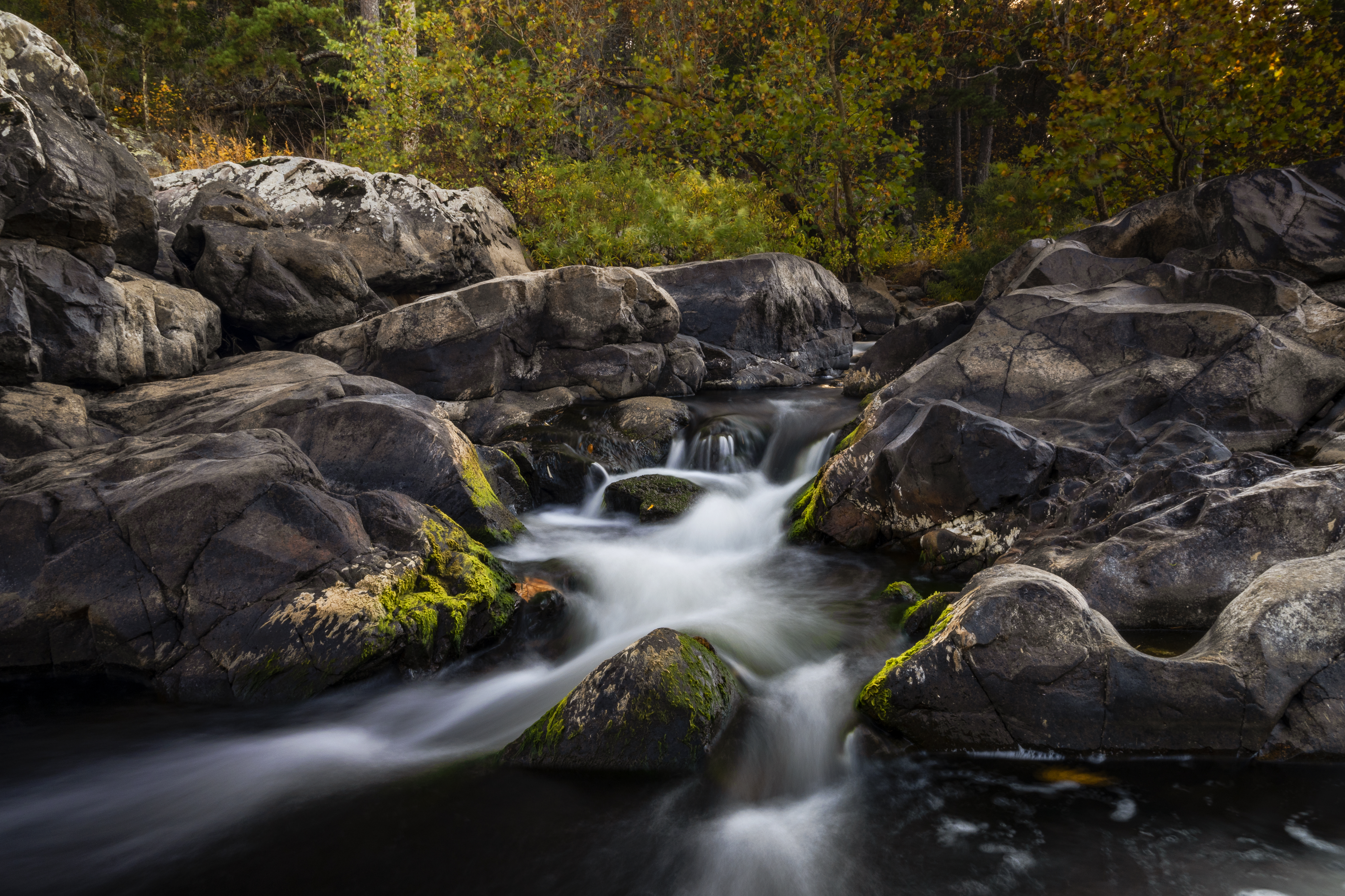 11 - Flow of Autumn