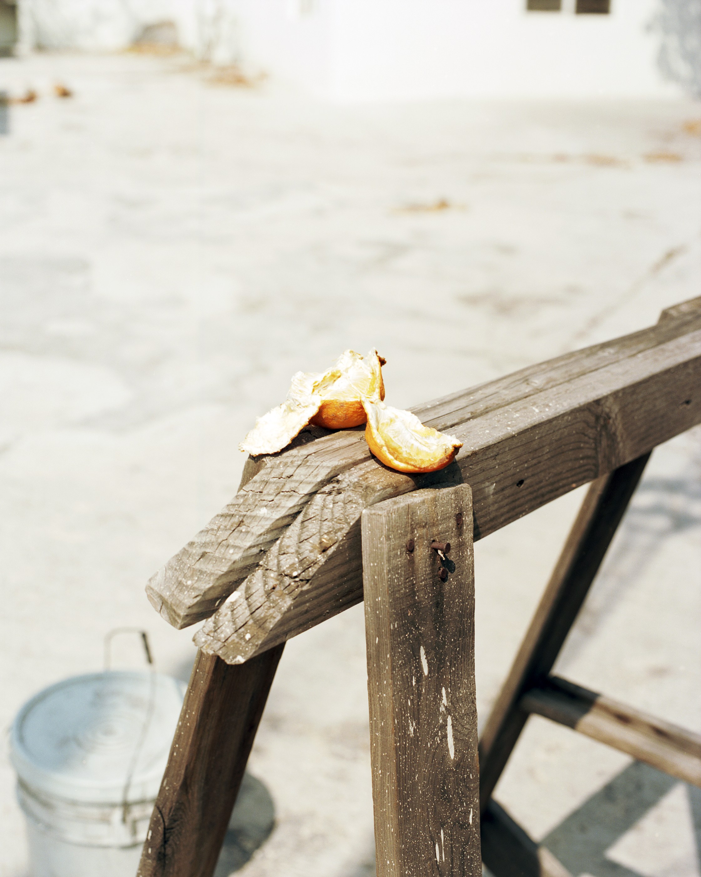 A Pealed Orange