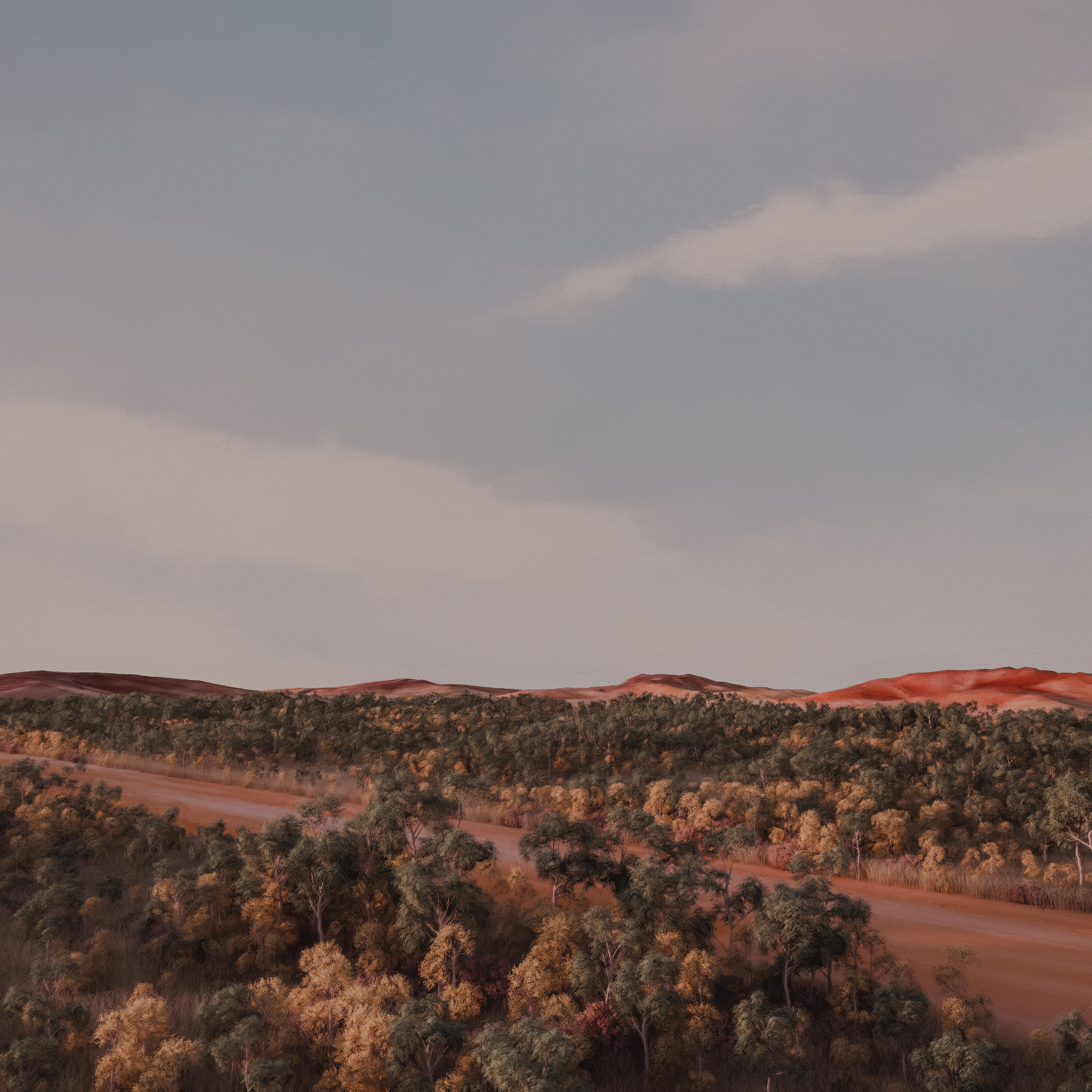 the red centre #5/80