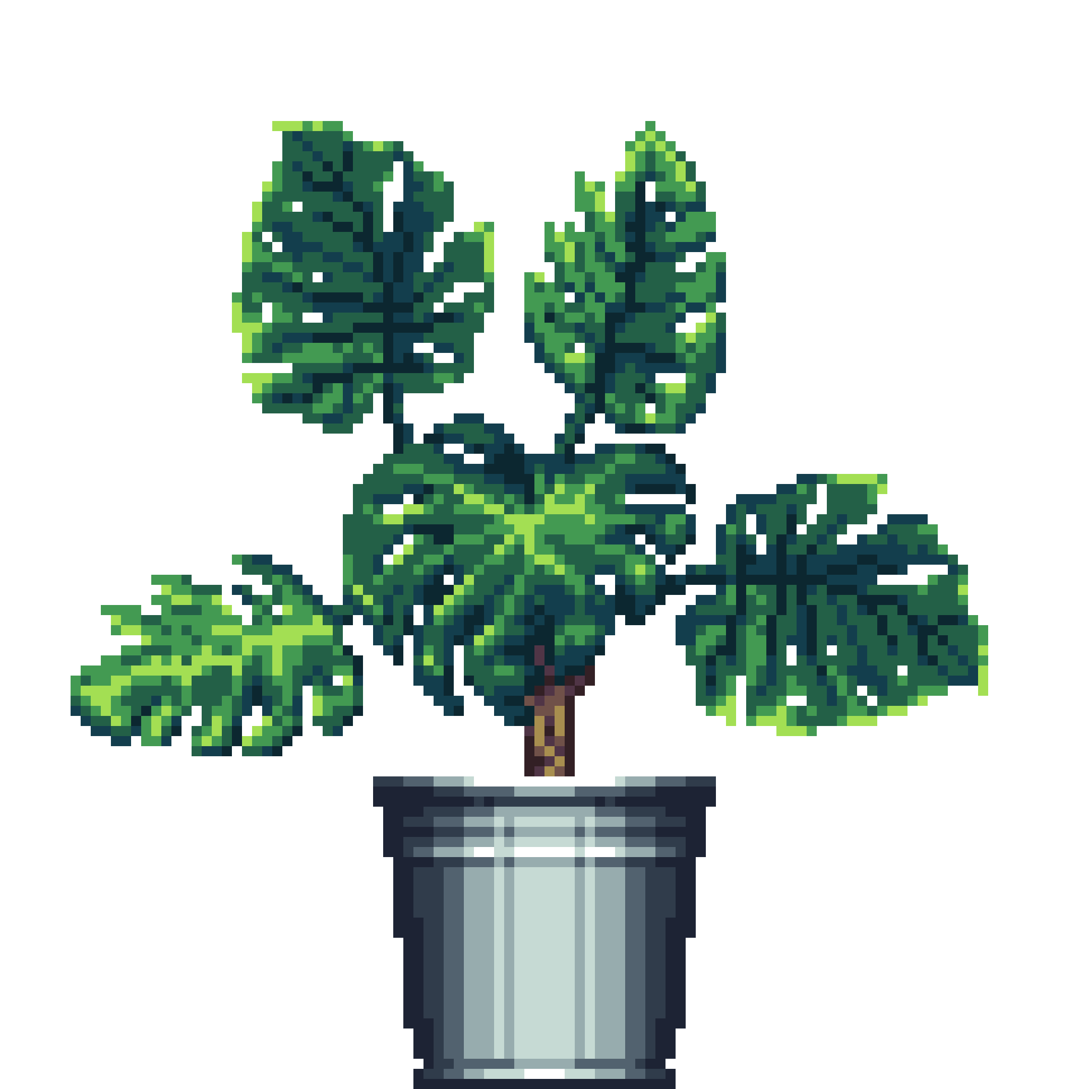 Monstera in Steel Bucket pot