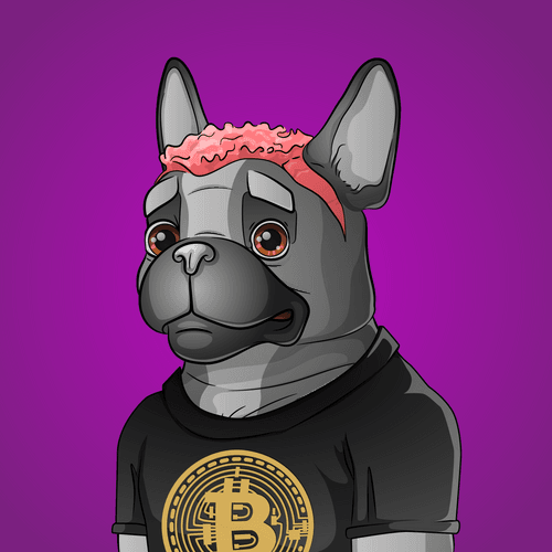 Bohemian Bulldog #4009
