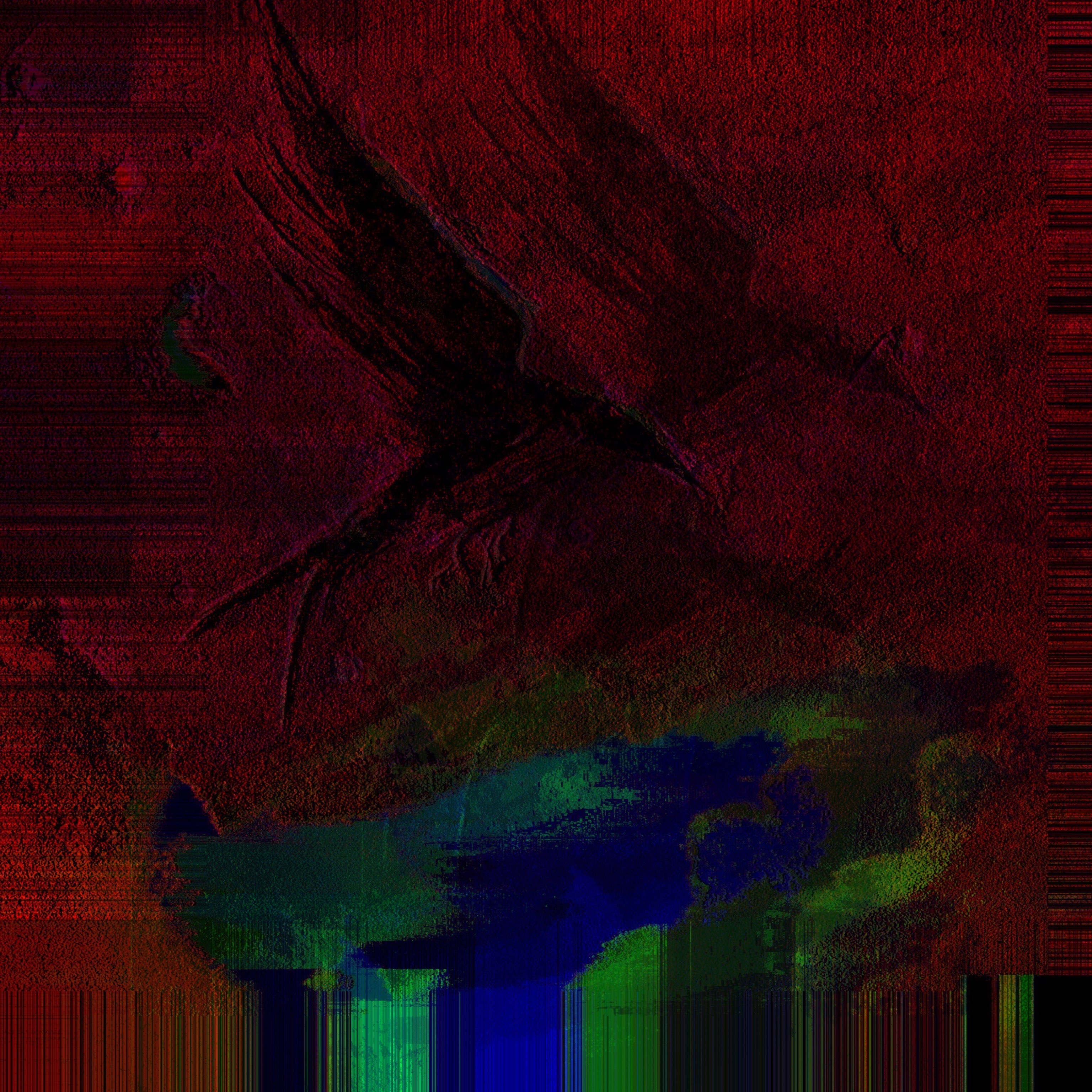 Bird of Prey