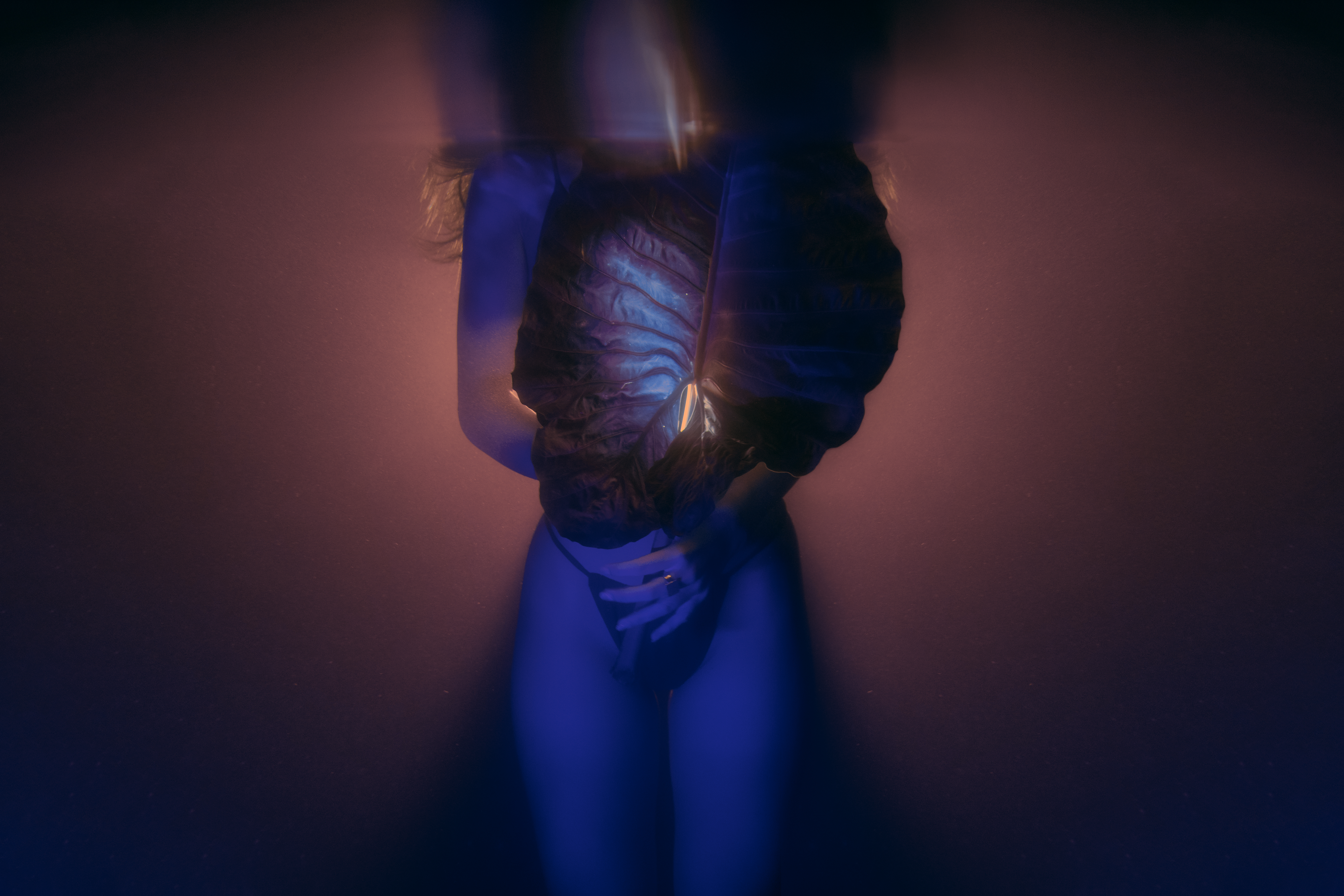 Facets in Fusion