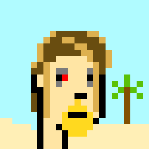 PiratePunk 52