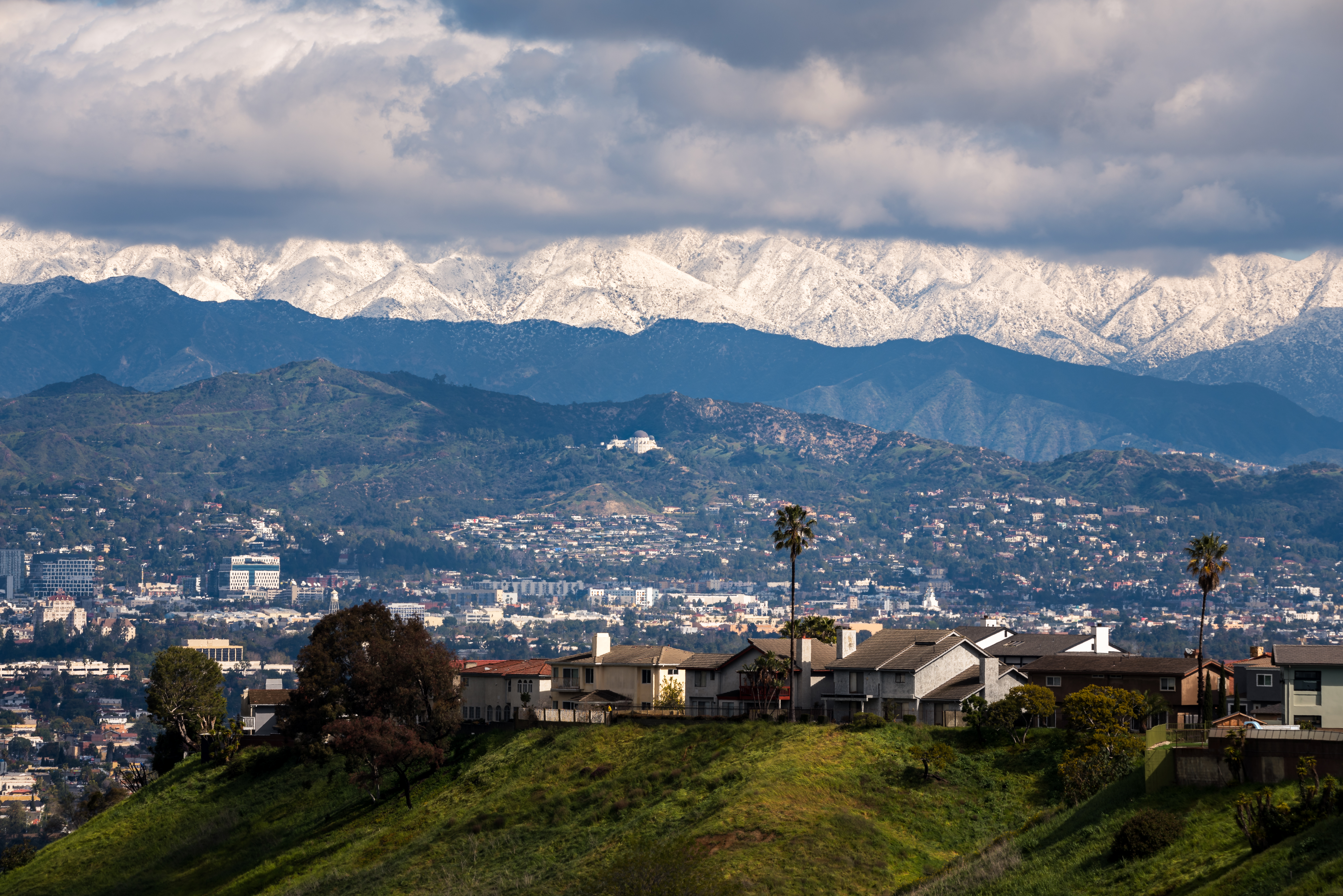 House With a View