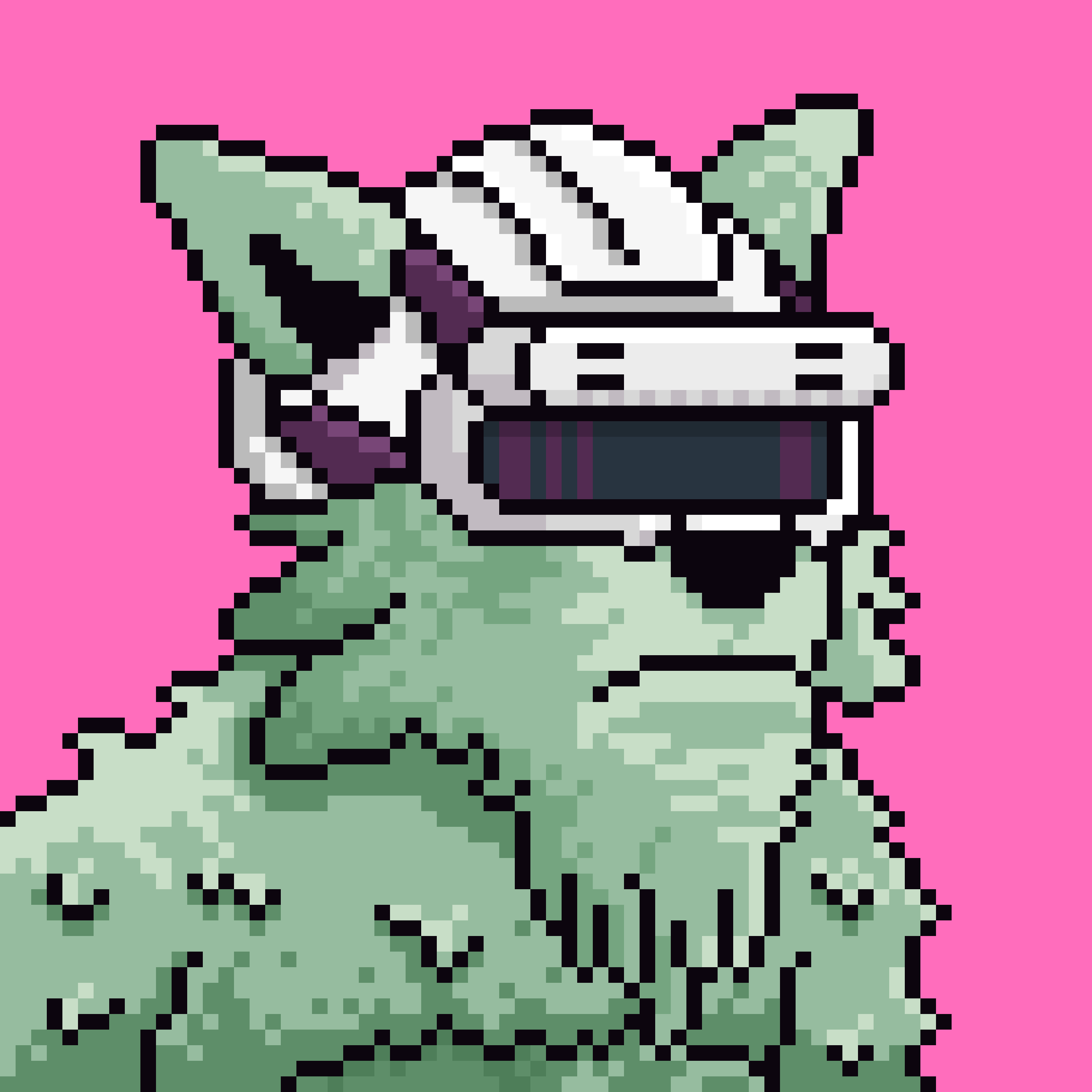 Star Wolf #7781