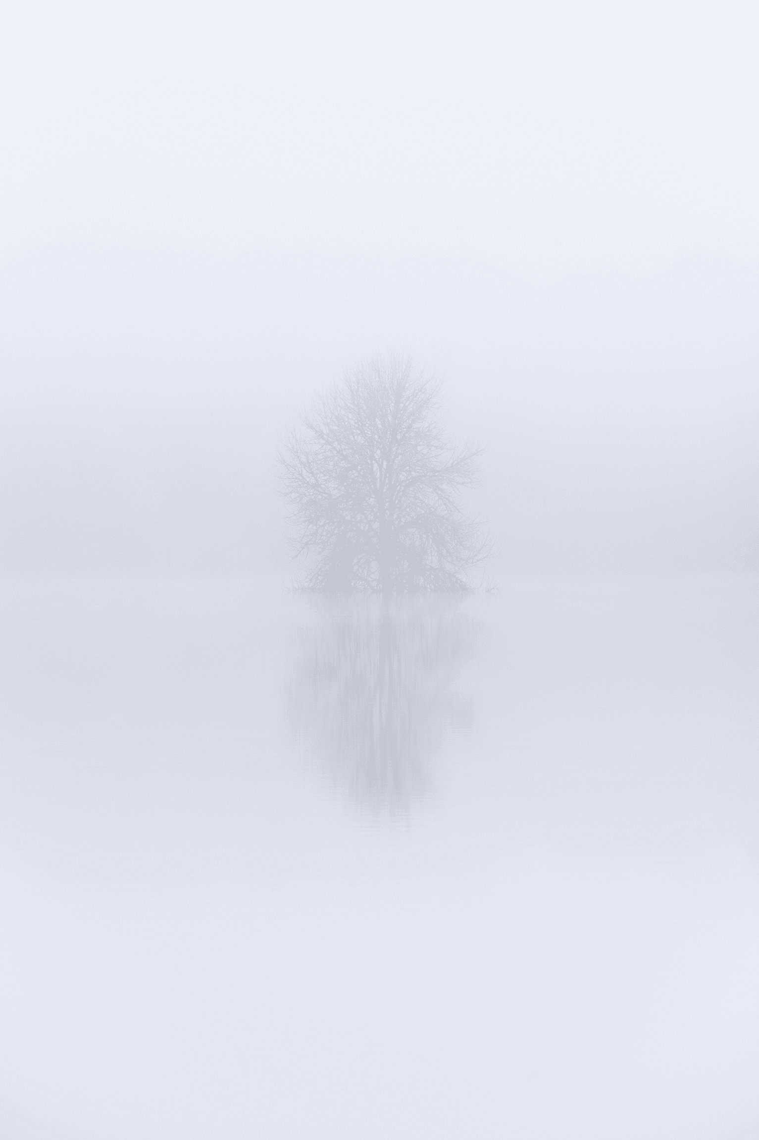 Introversion