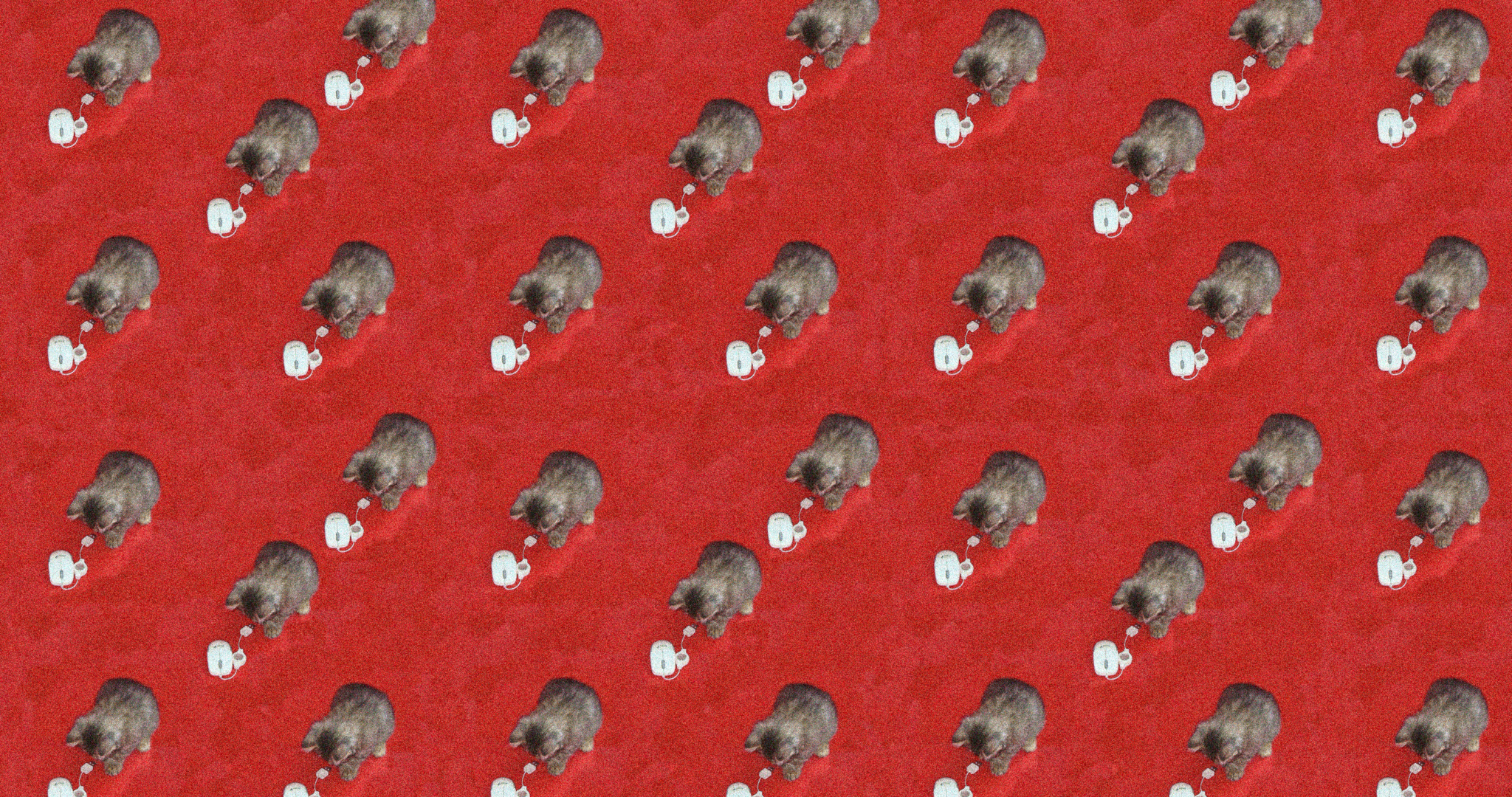 Gift Wrapping Paper