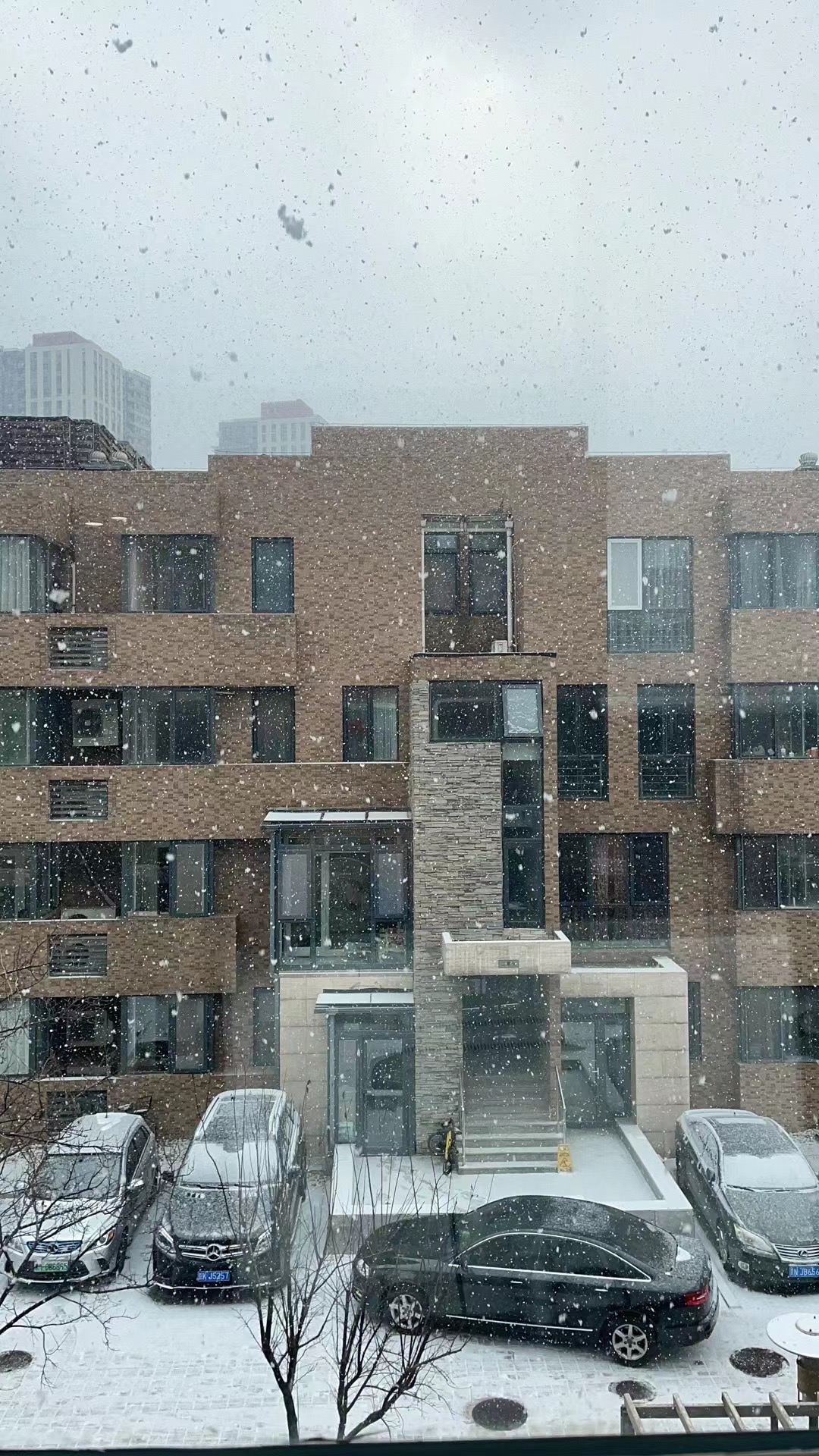snow
