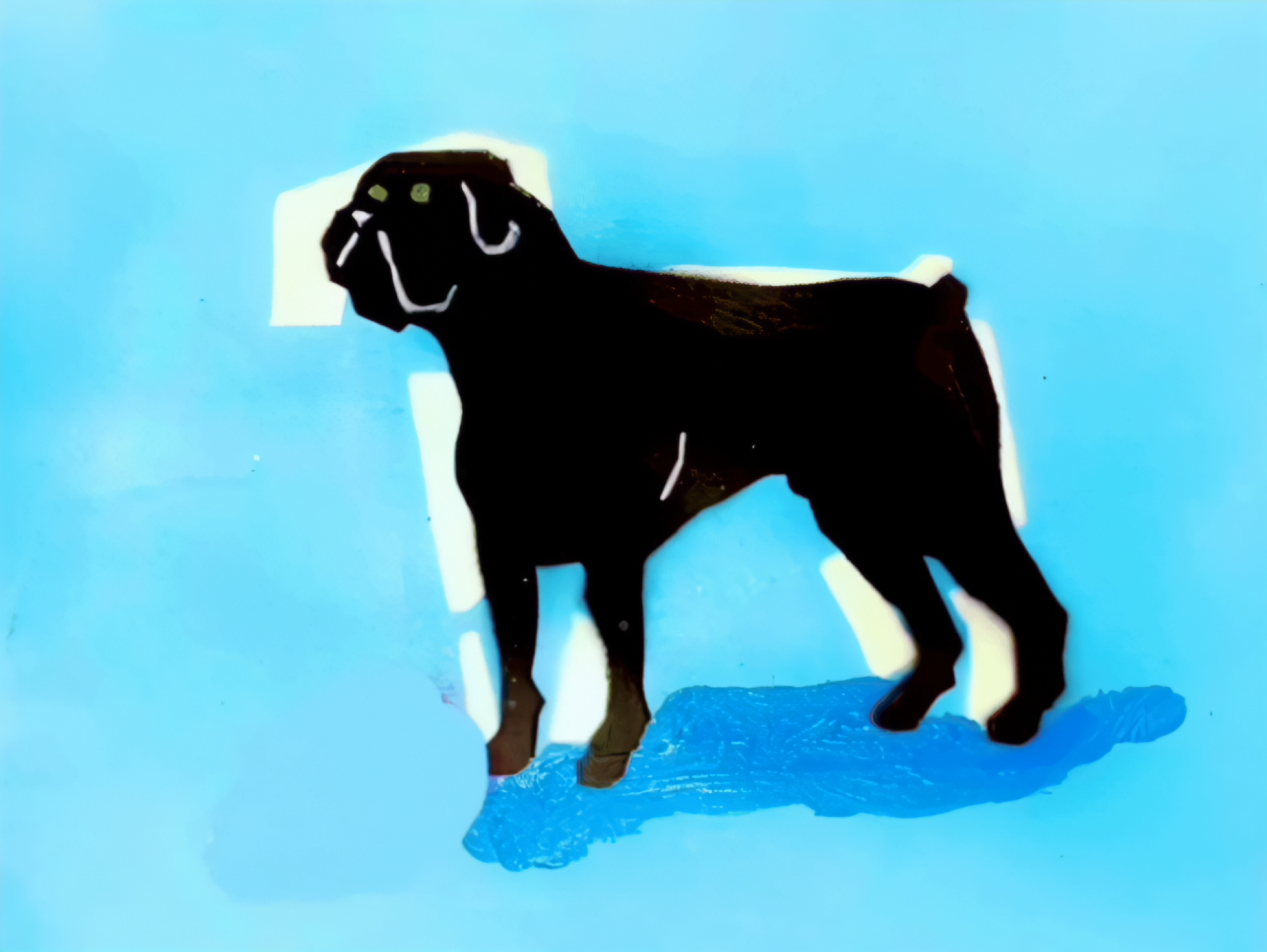 POOCH IN THE RING
