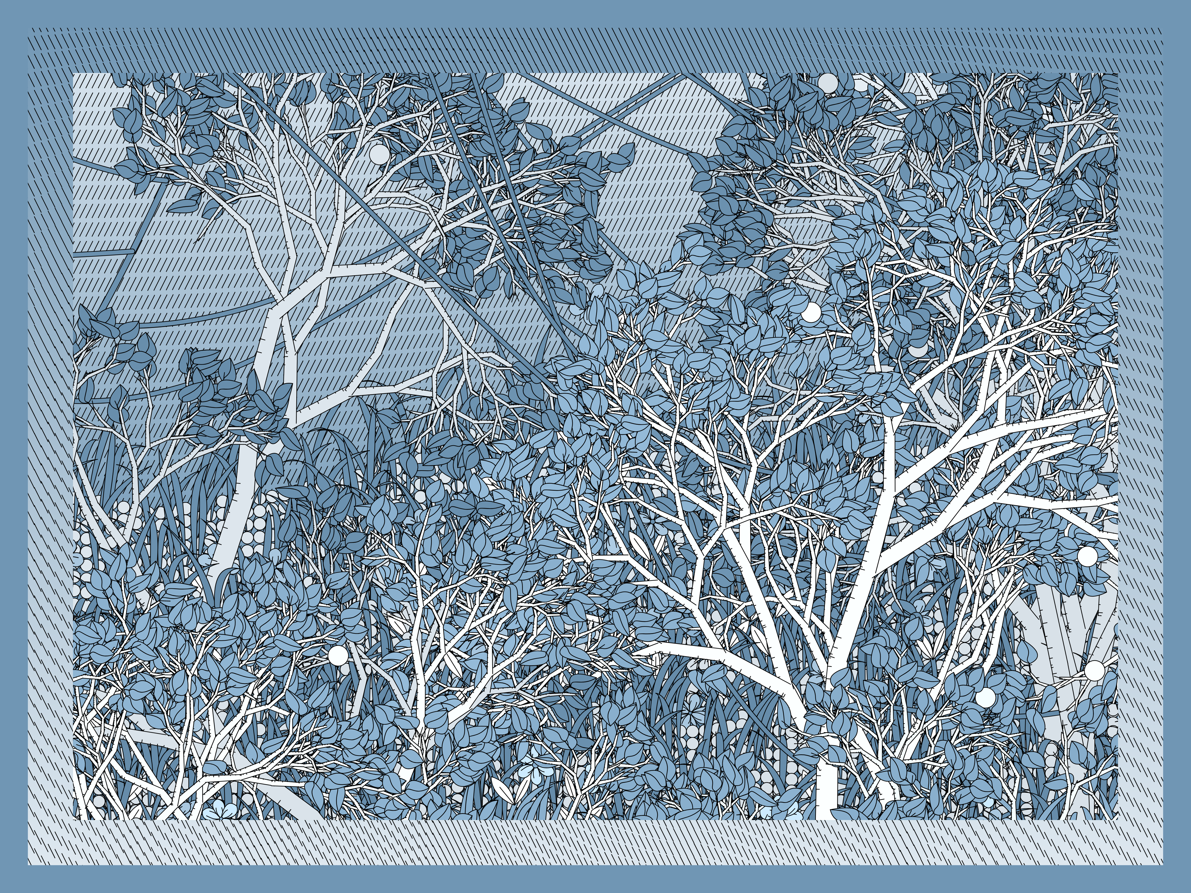 Entangled #23