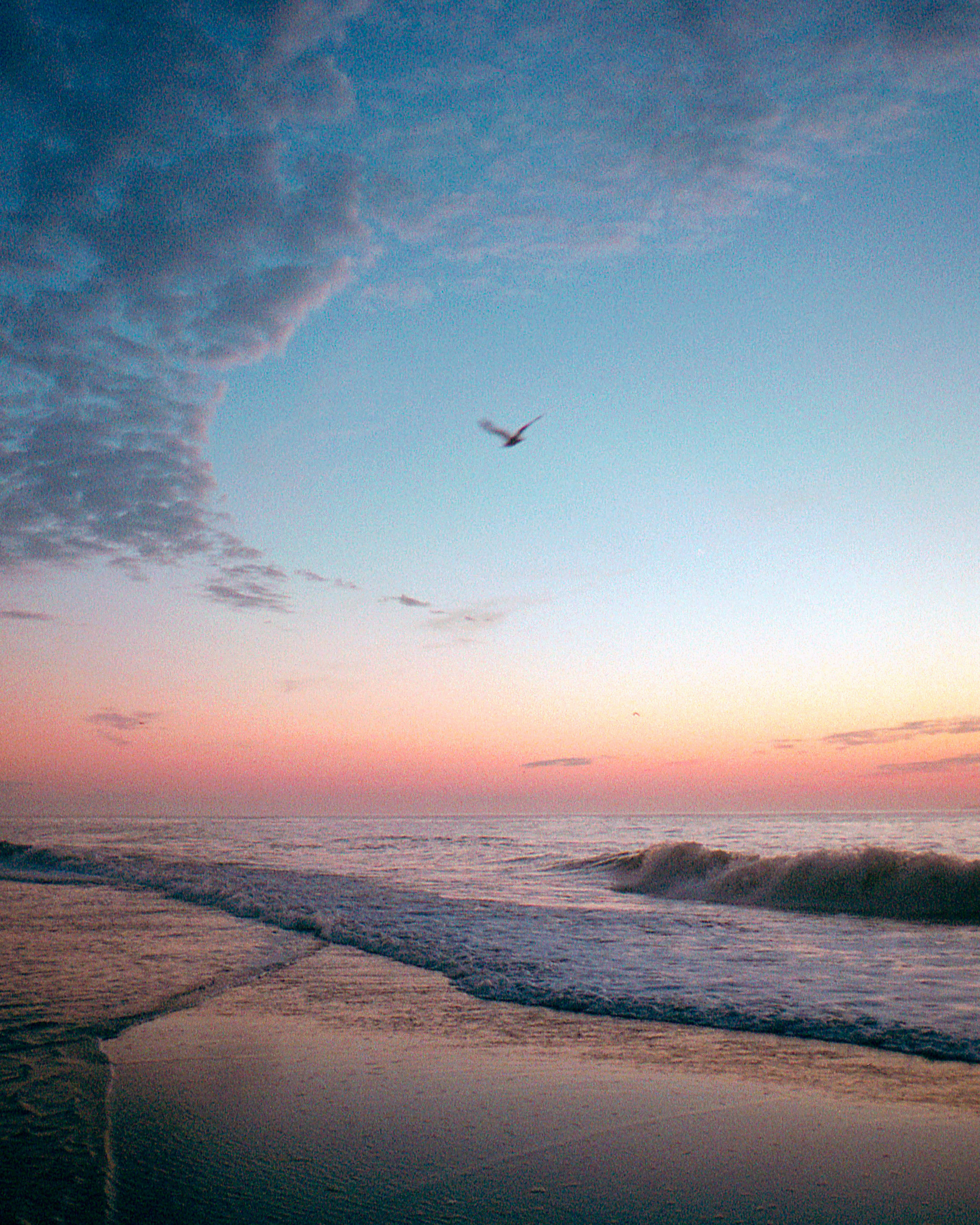 Sky's The Limit