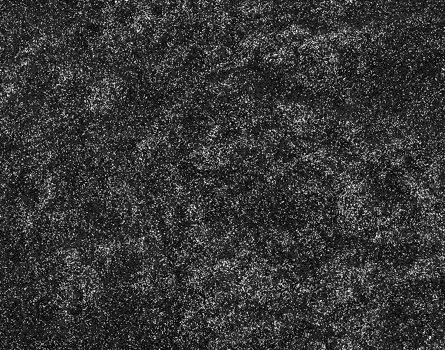 Natural Static #125