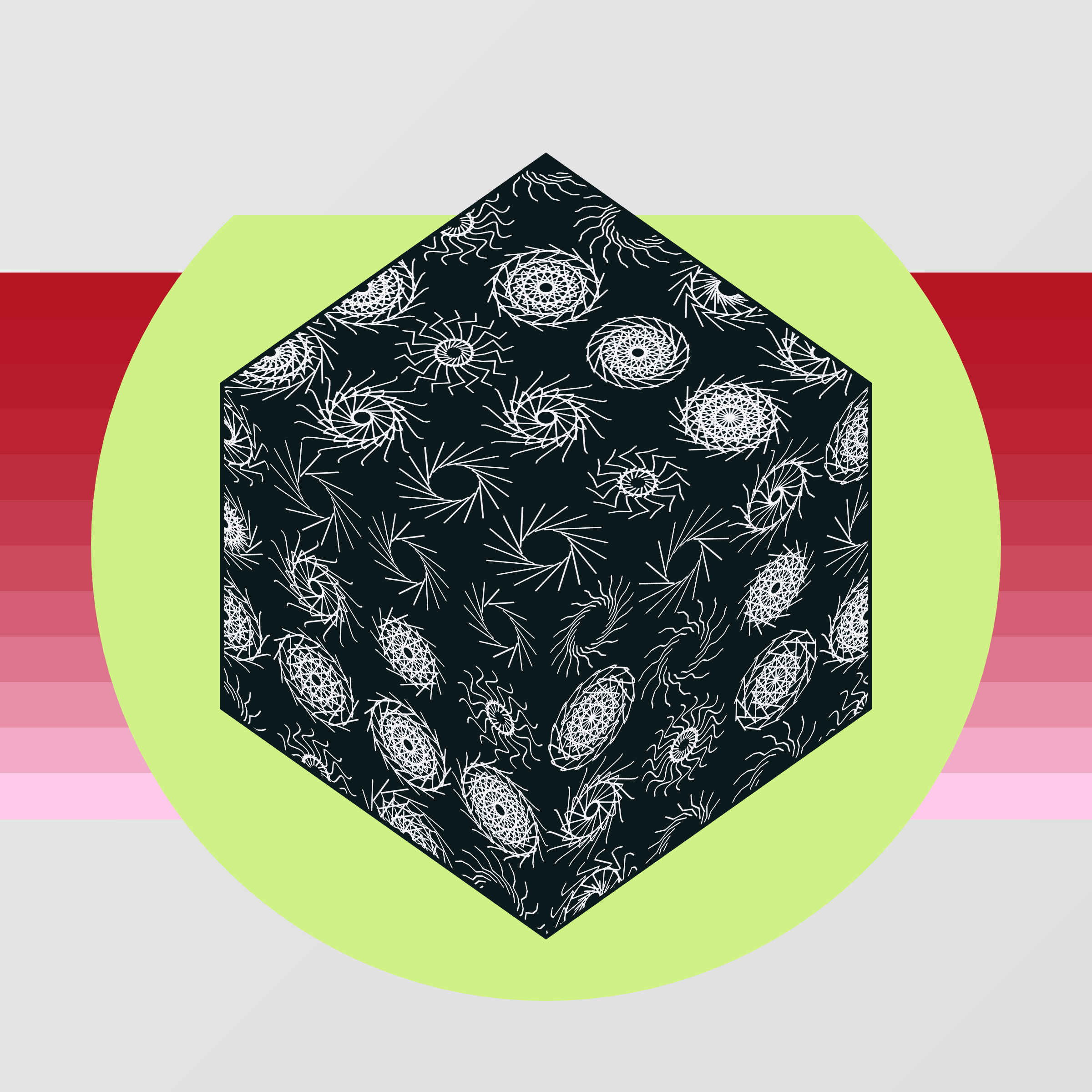 Coalition #16