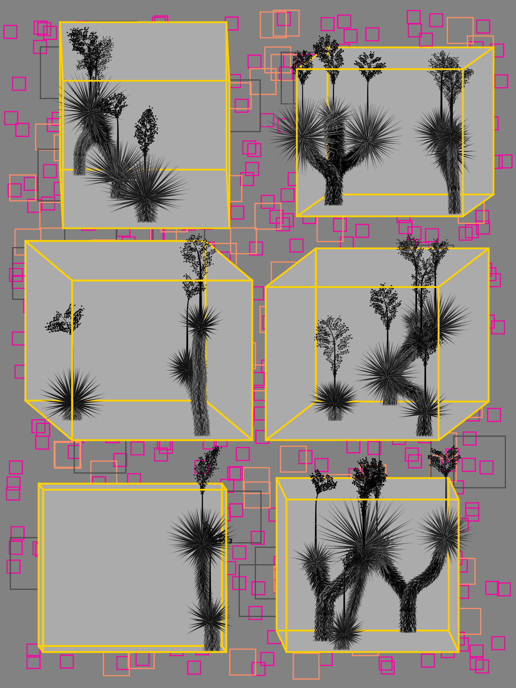 Marfa Yucca #91