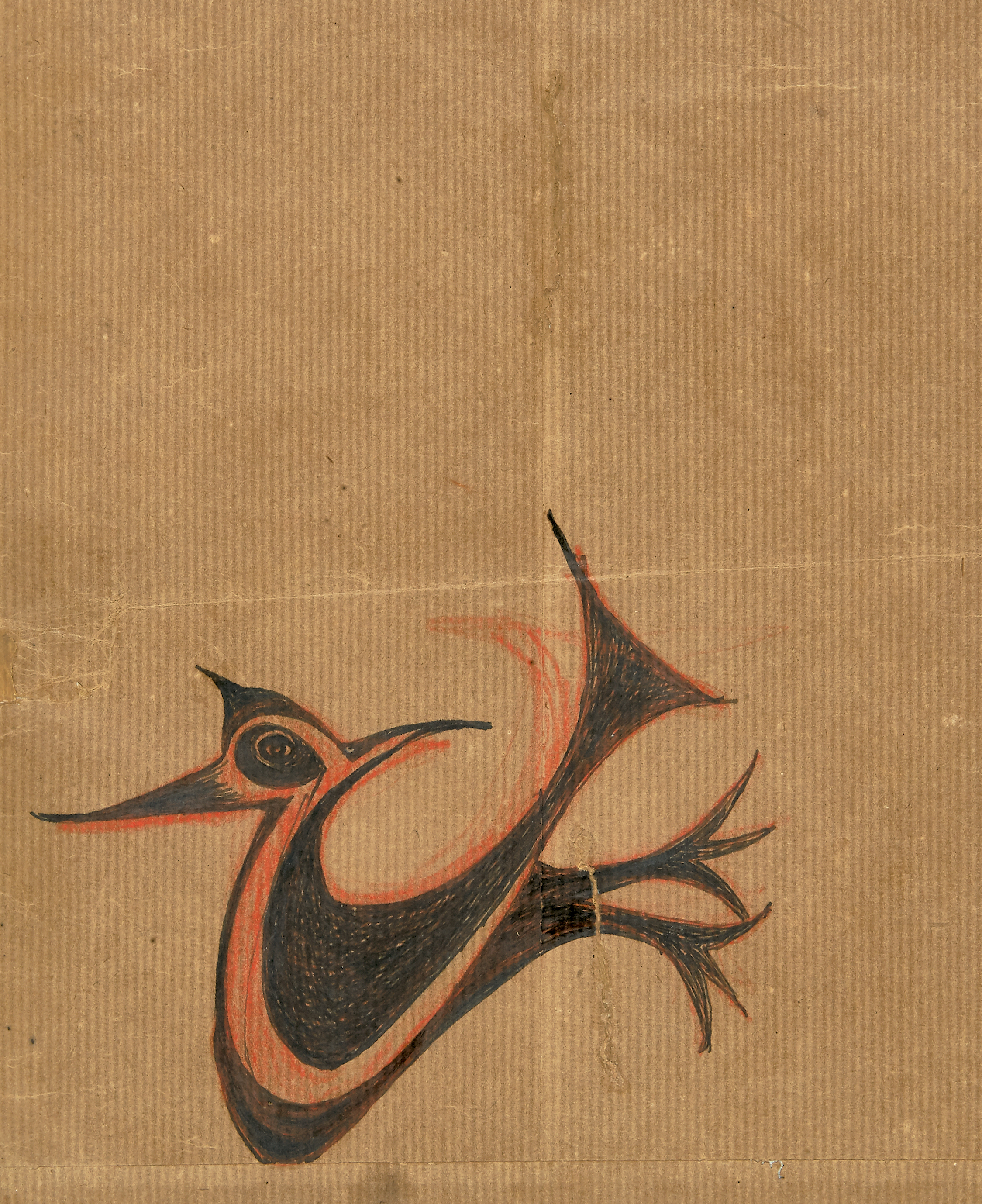 Bird