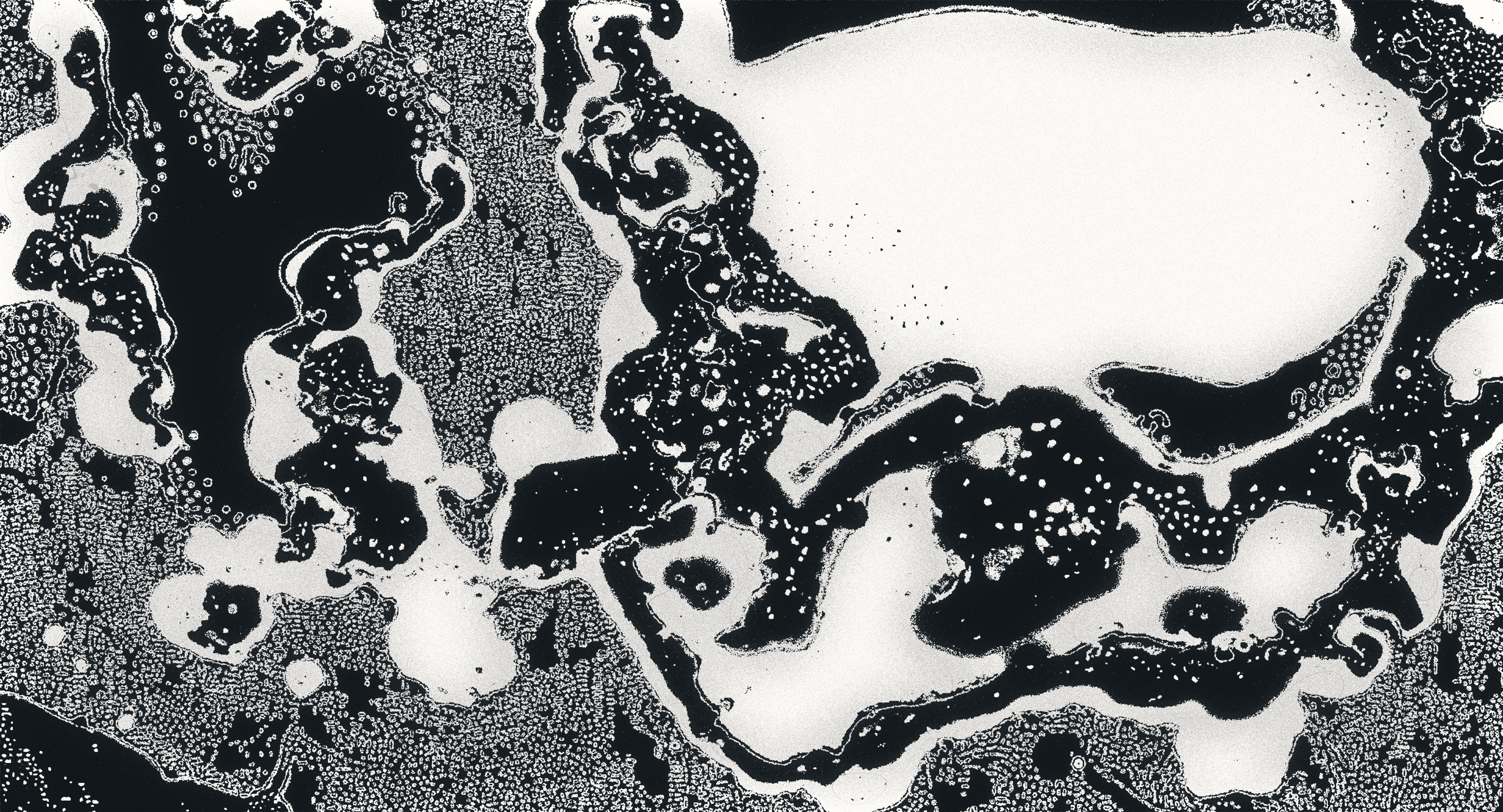 Water Studies #15