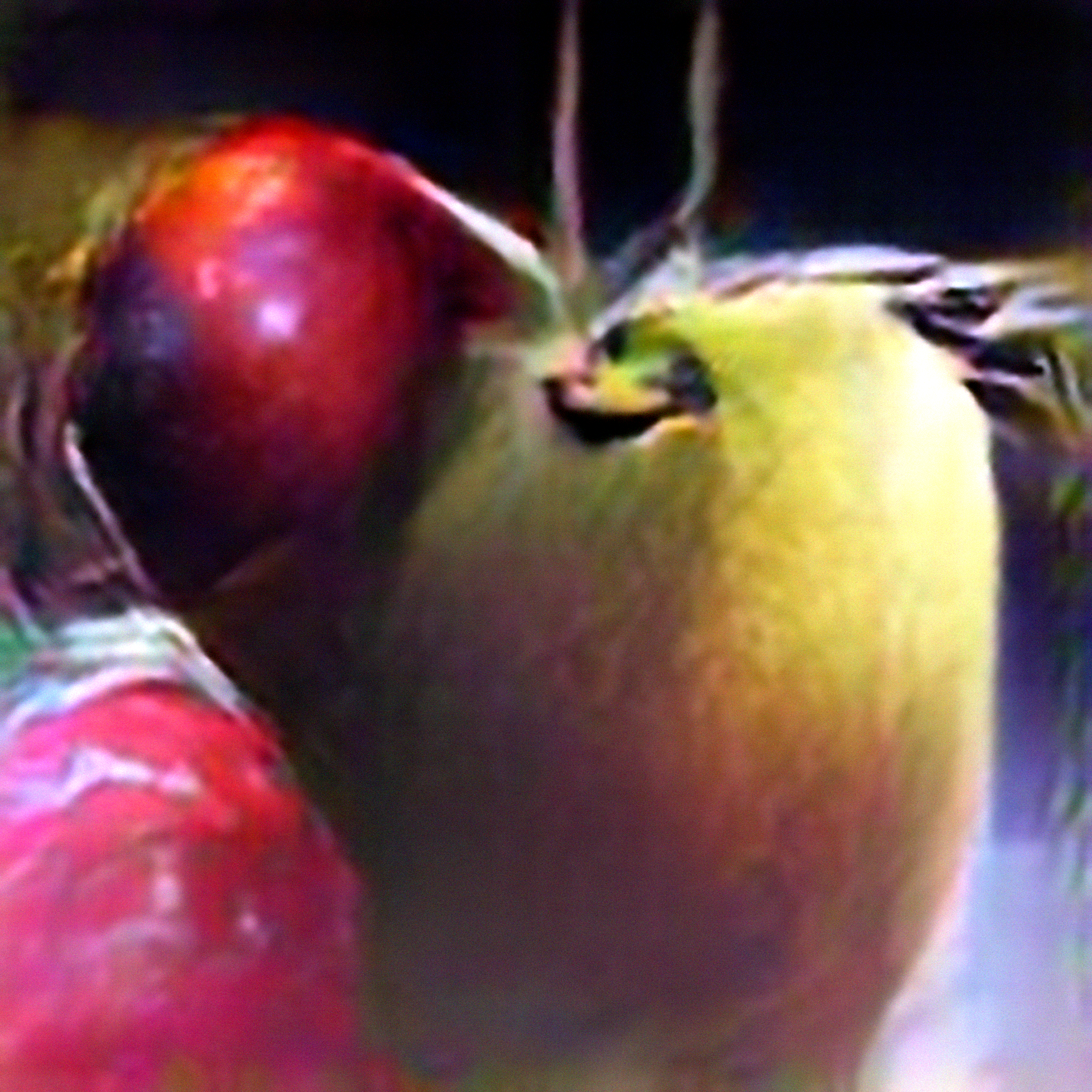 Apple #7 (Corpus: Still Life Objects of the Renaissance)