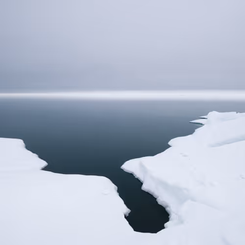 Rumors of Arctic Belonging - Undulating Tuvaq, Floe Edge, Point Nuvuk