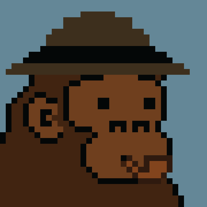 Kong Punk #06930