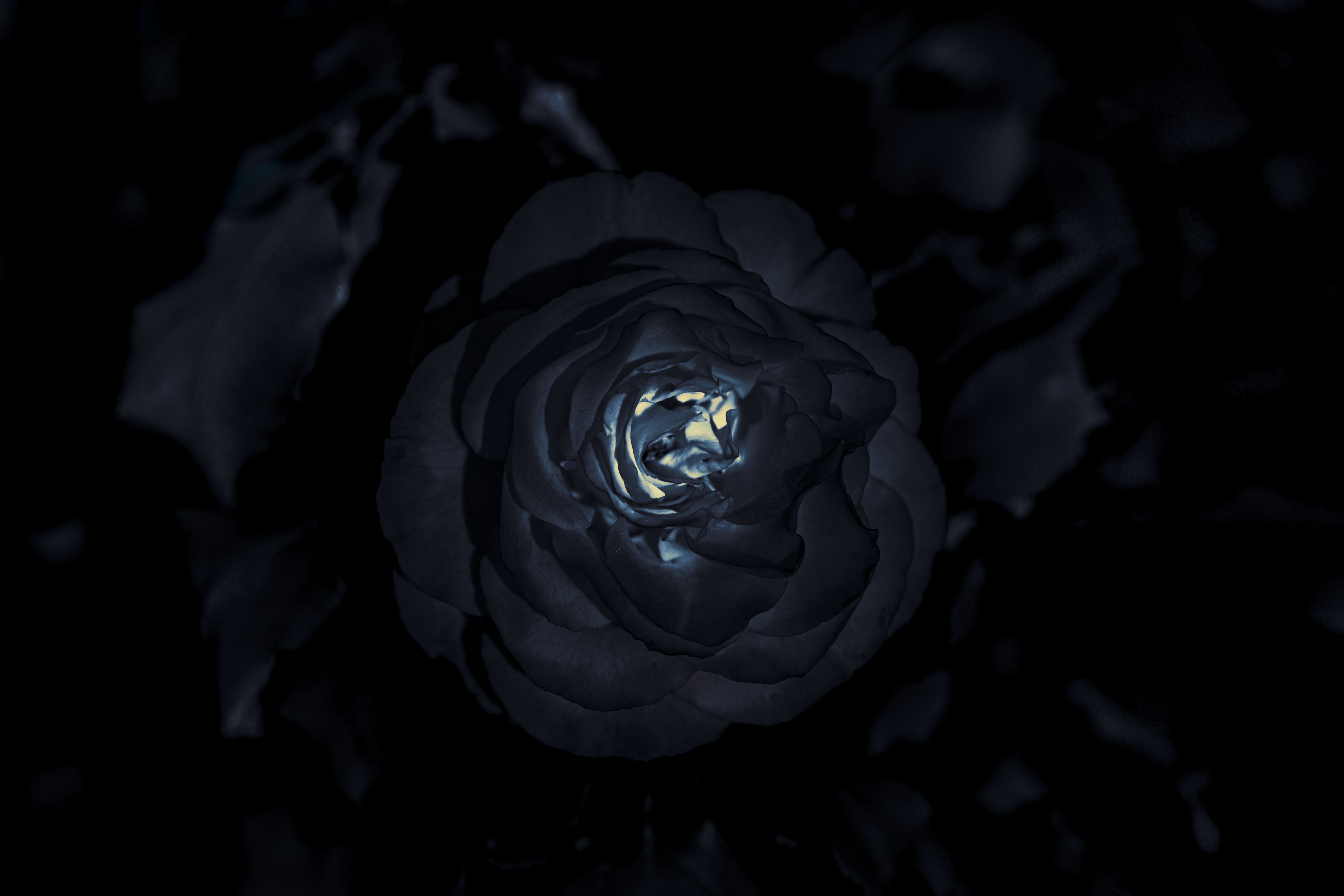 OBSCURA