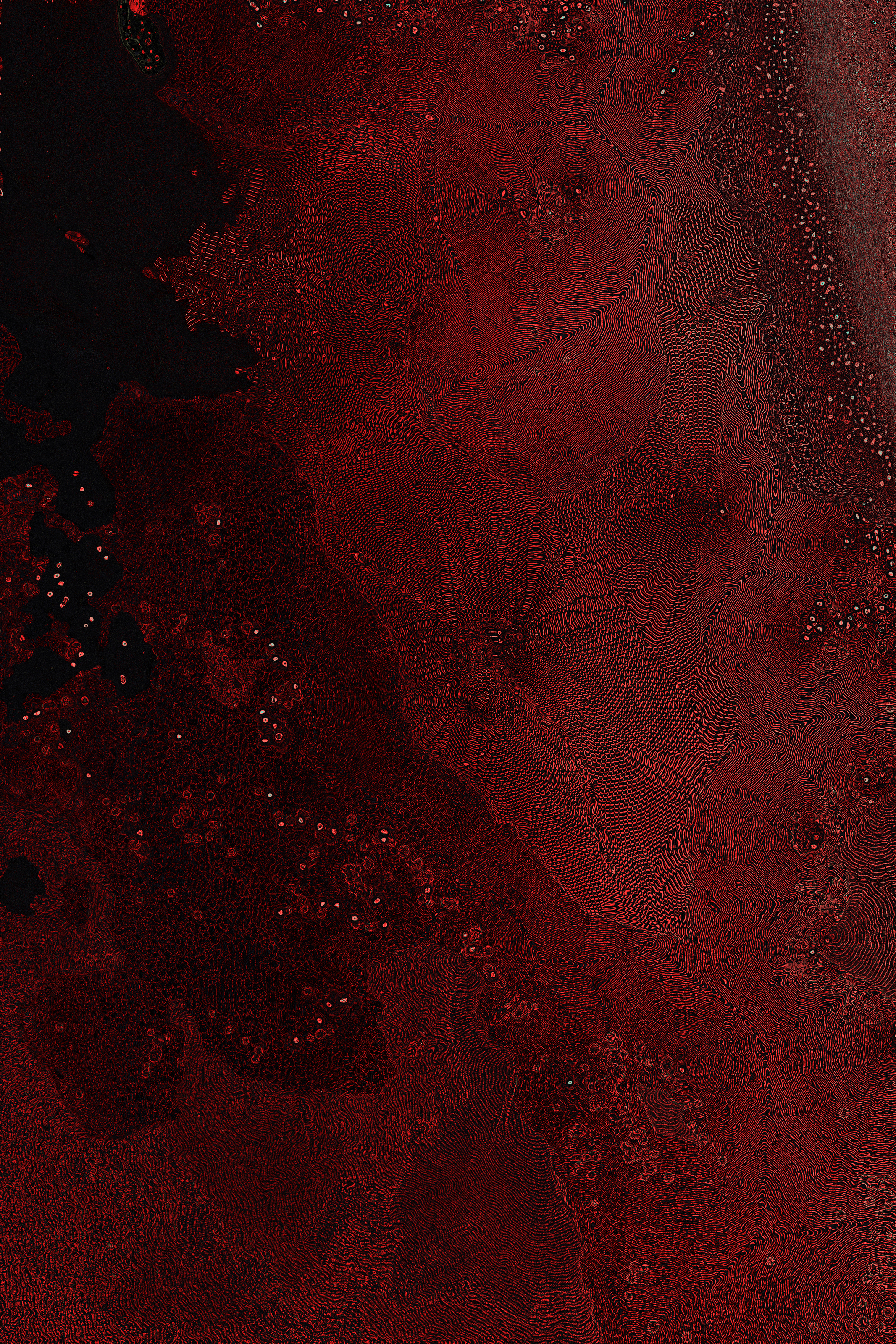 Dactylogram #58