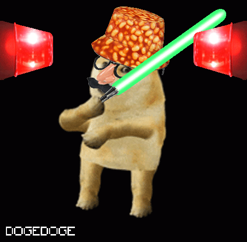 DOGEDOGE #254