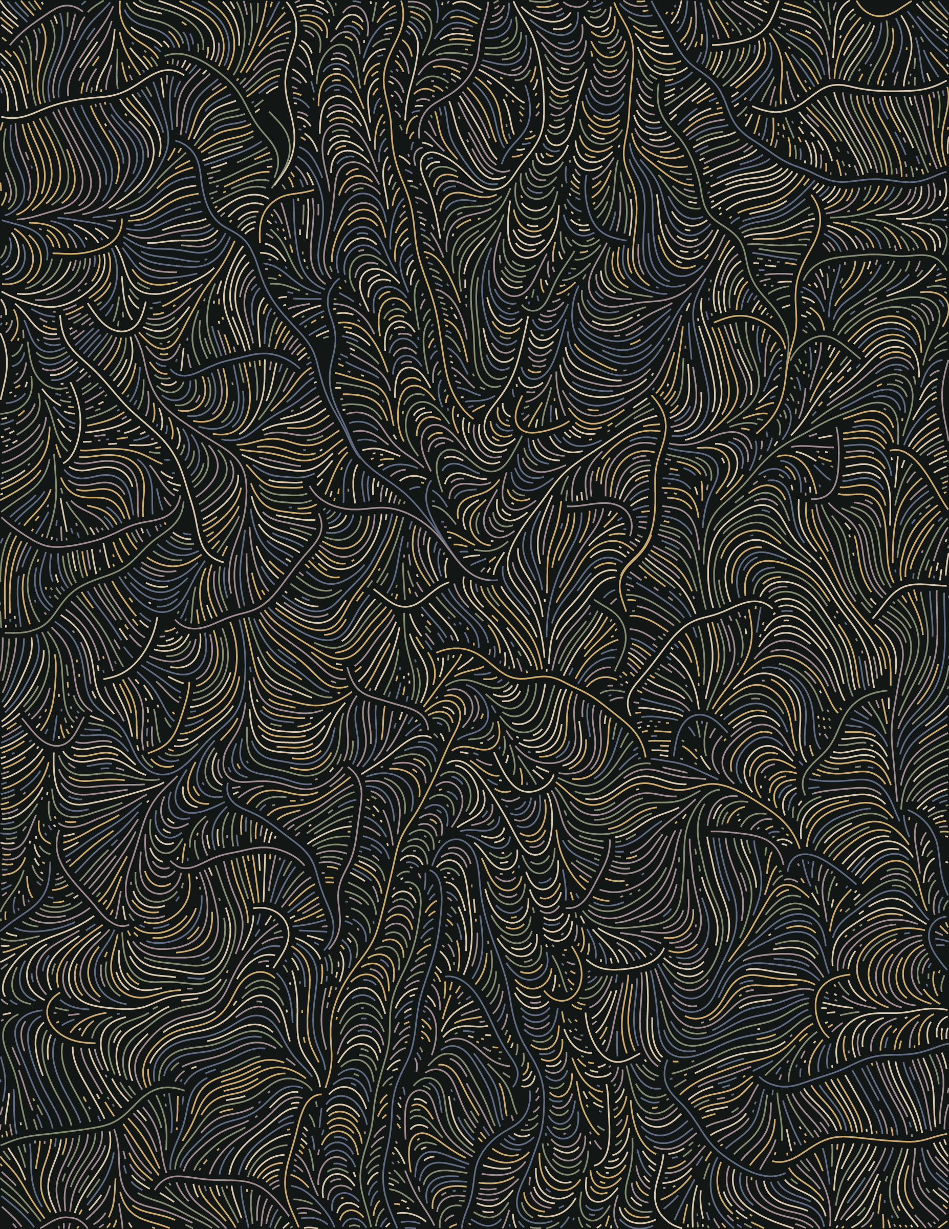 Streamlines #383