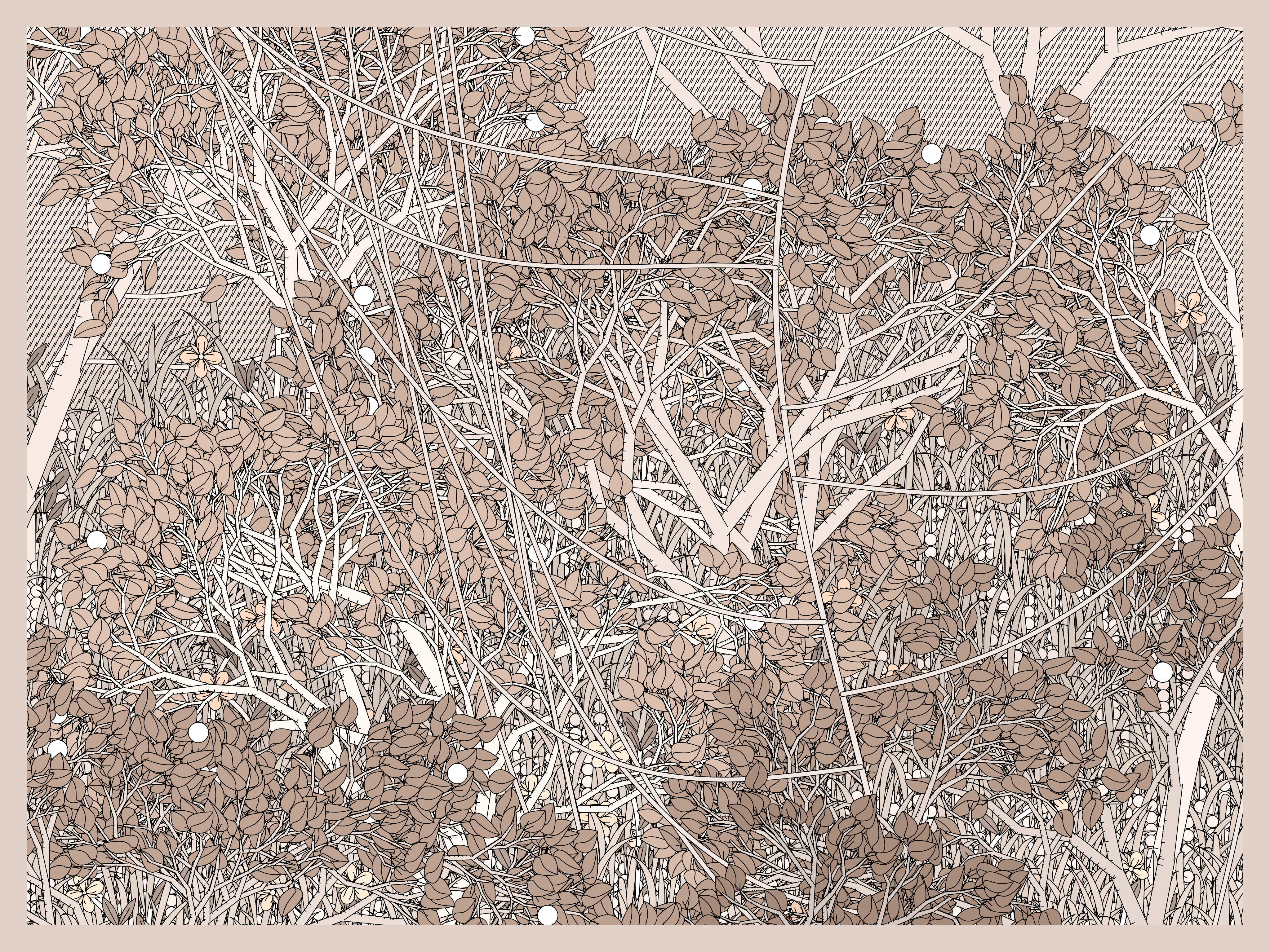 Entangled #253