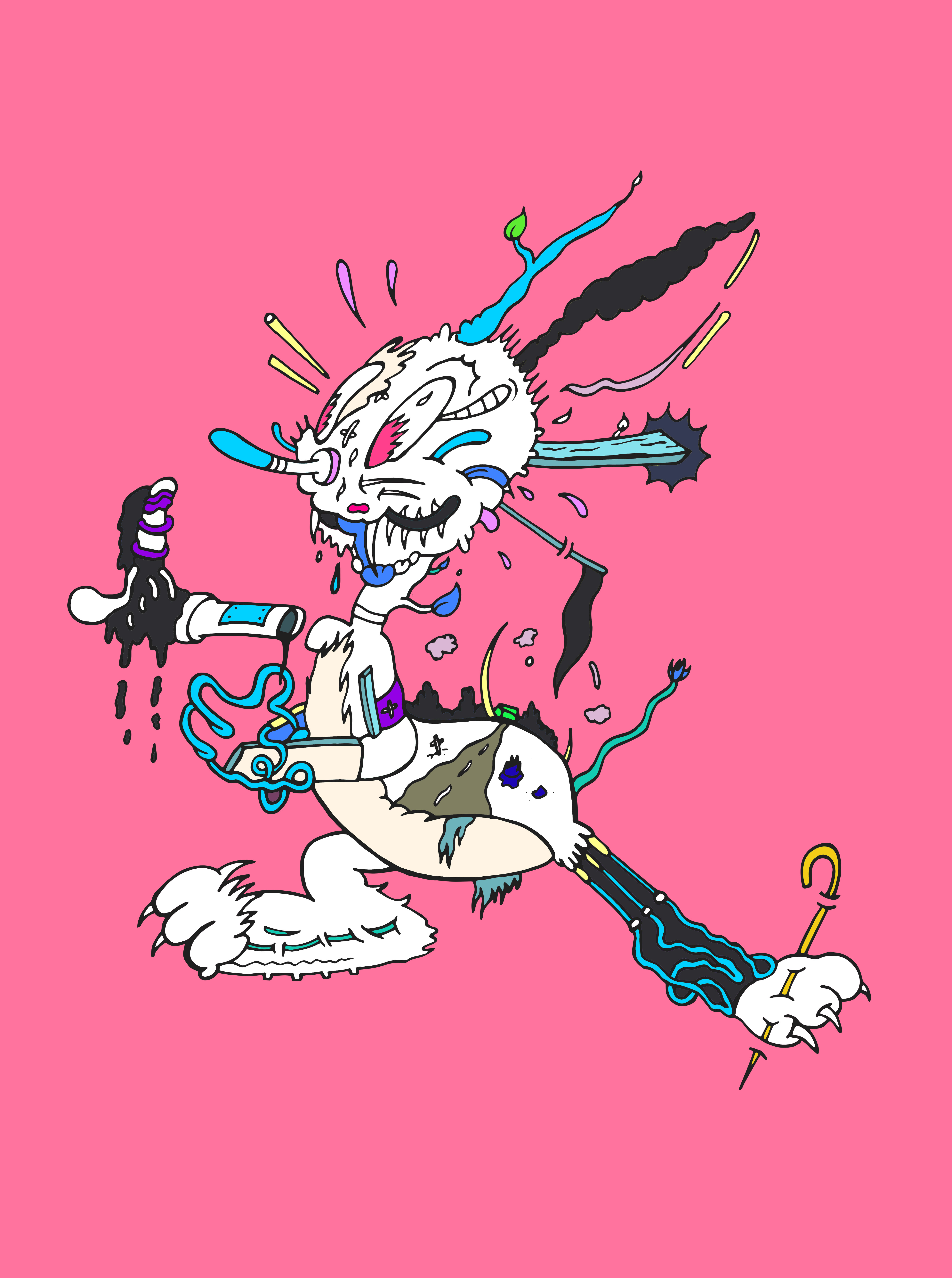 White Rabbot