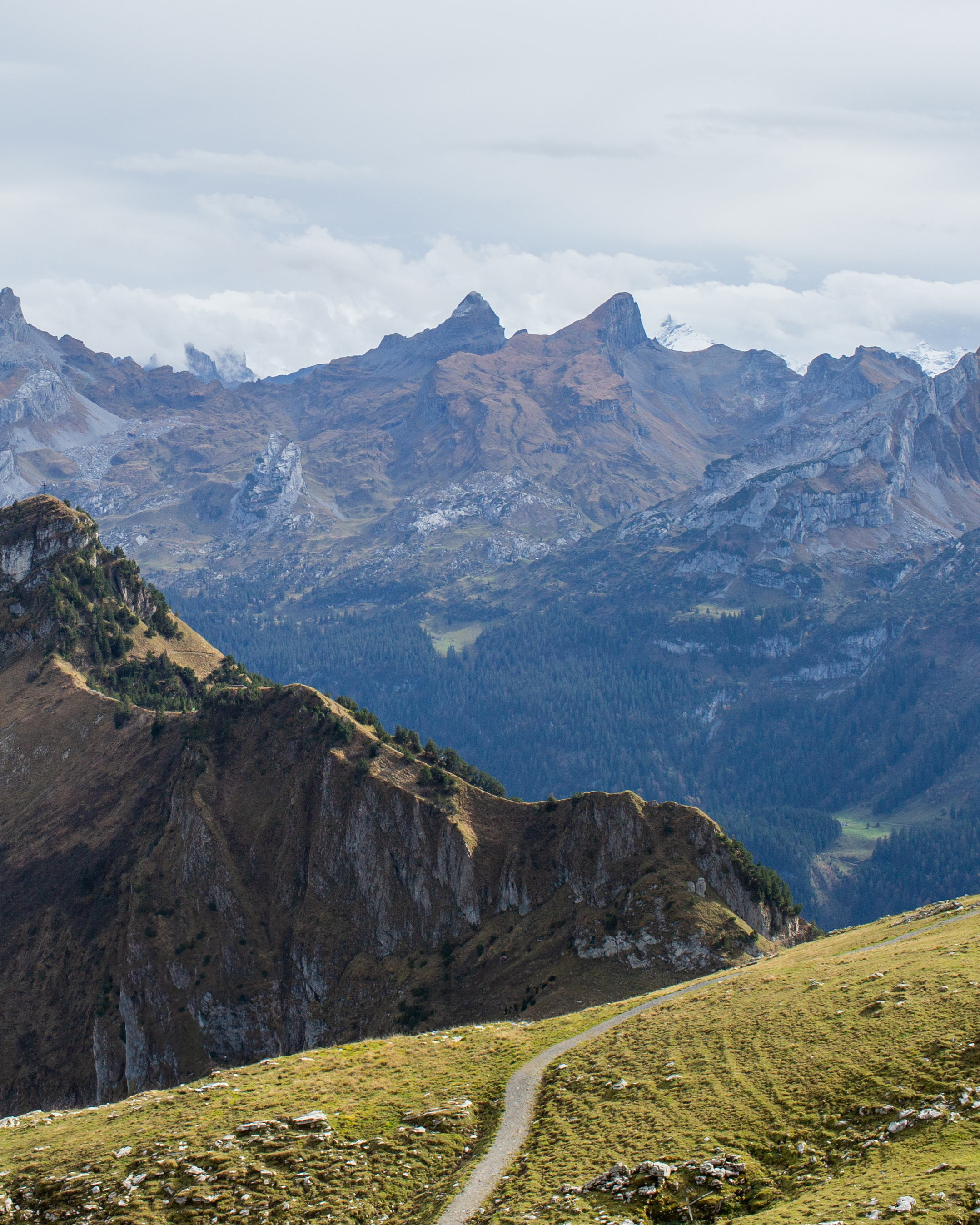 Swiss Alps