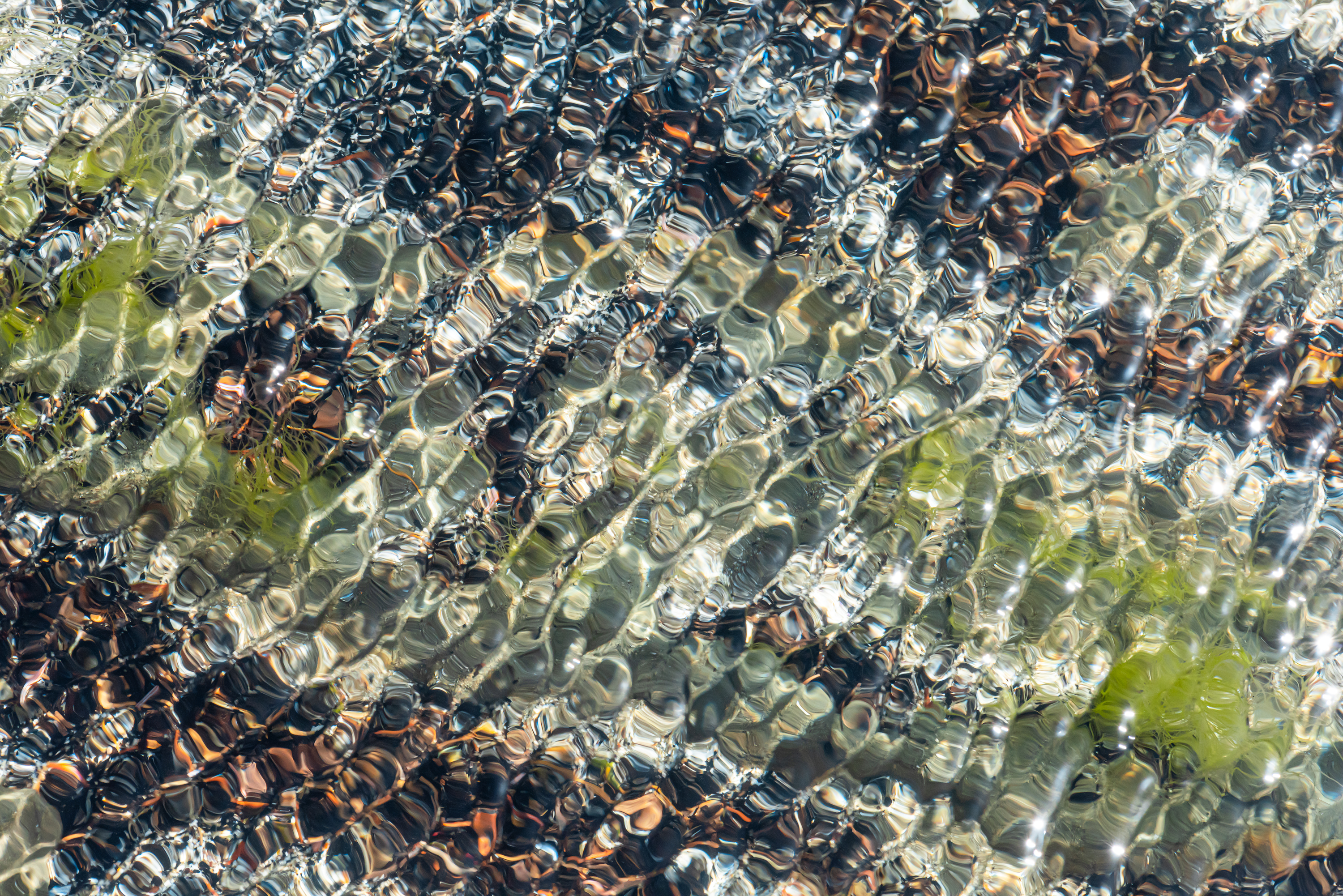 Ebb and Flow #79