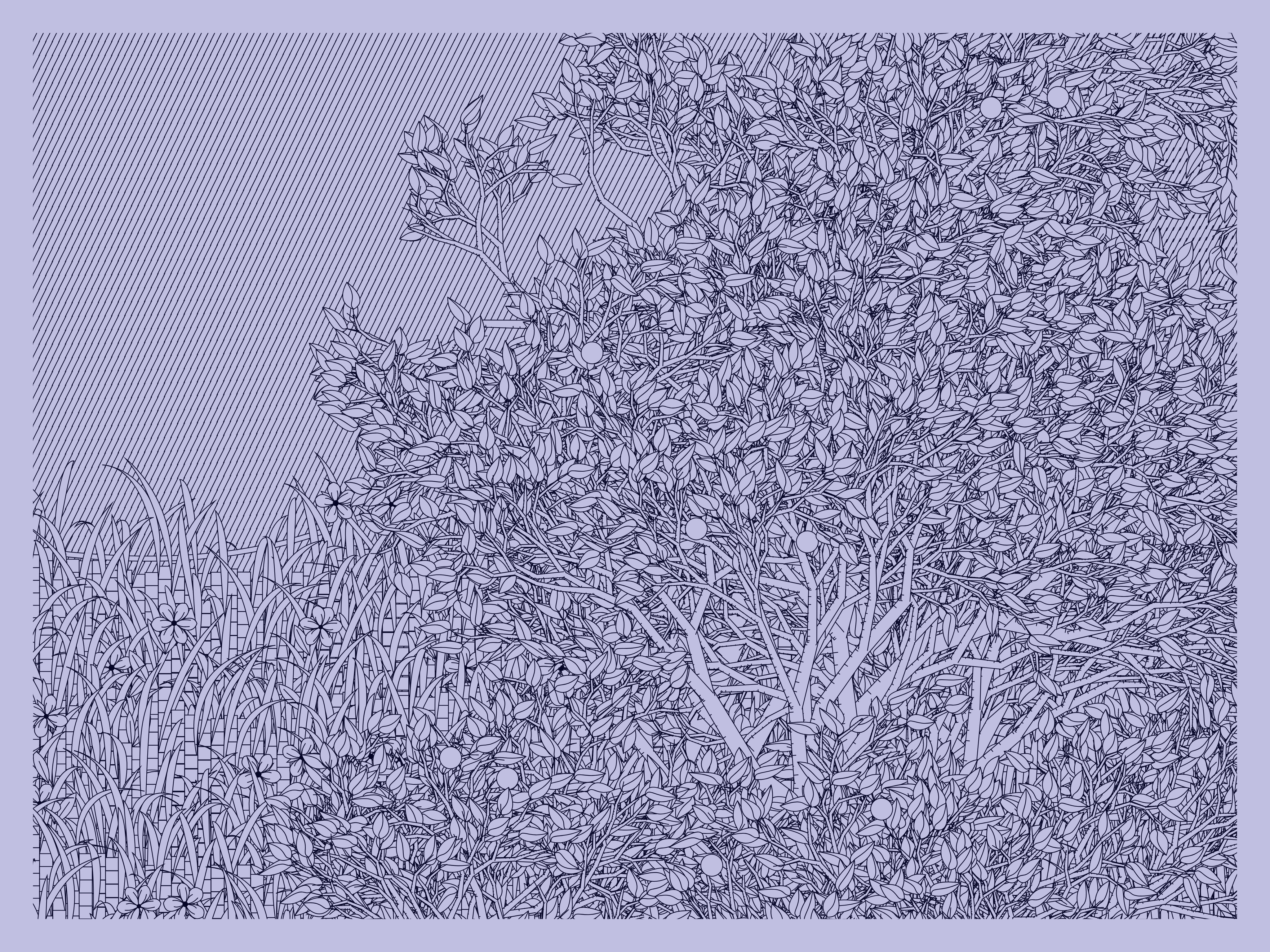 Entangled #412