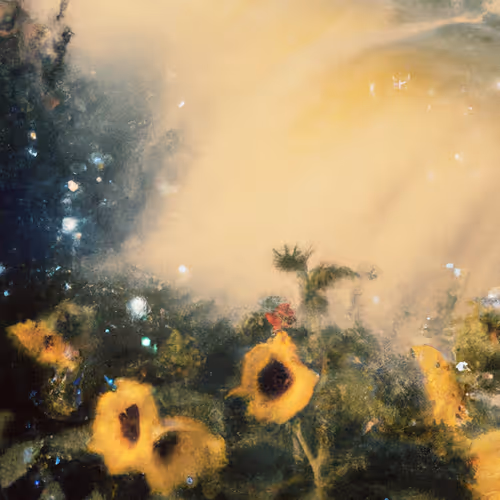 Tsunflower Chaos #49