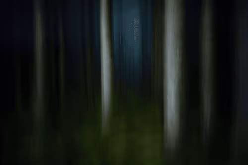 VISIONS #57