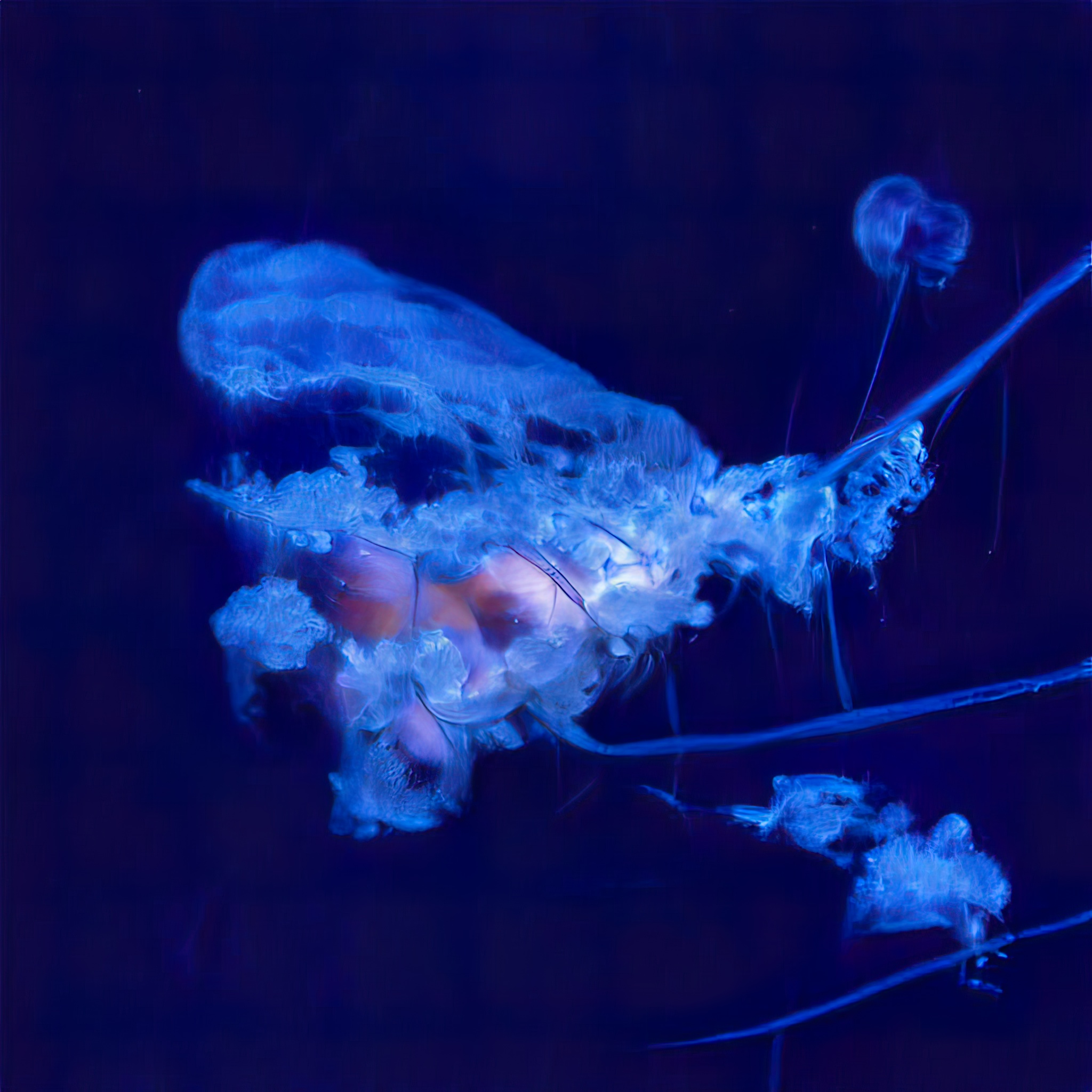 Emergent Finale 00144