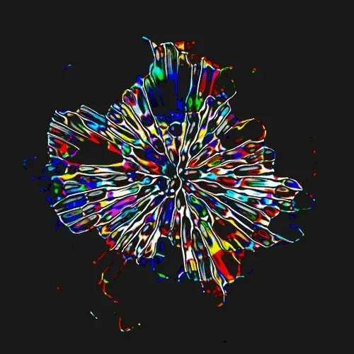 Crypto Graphic #53/999