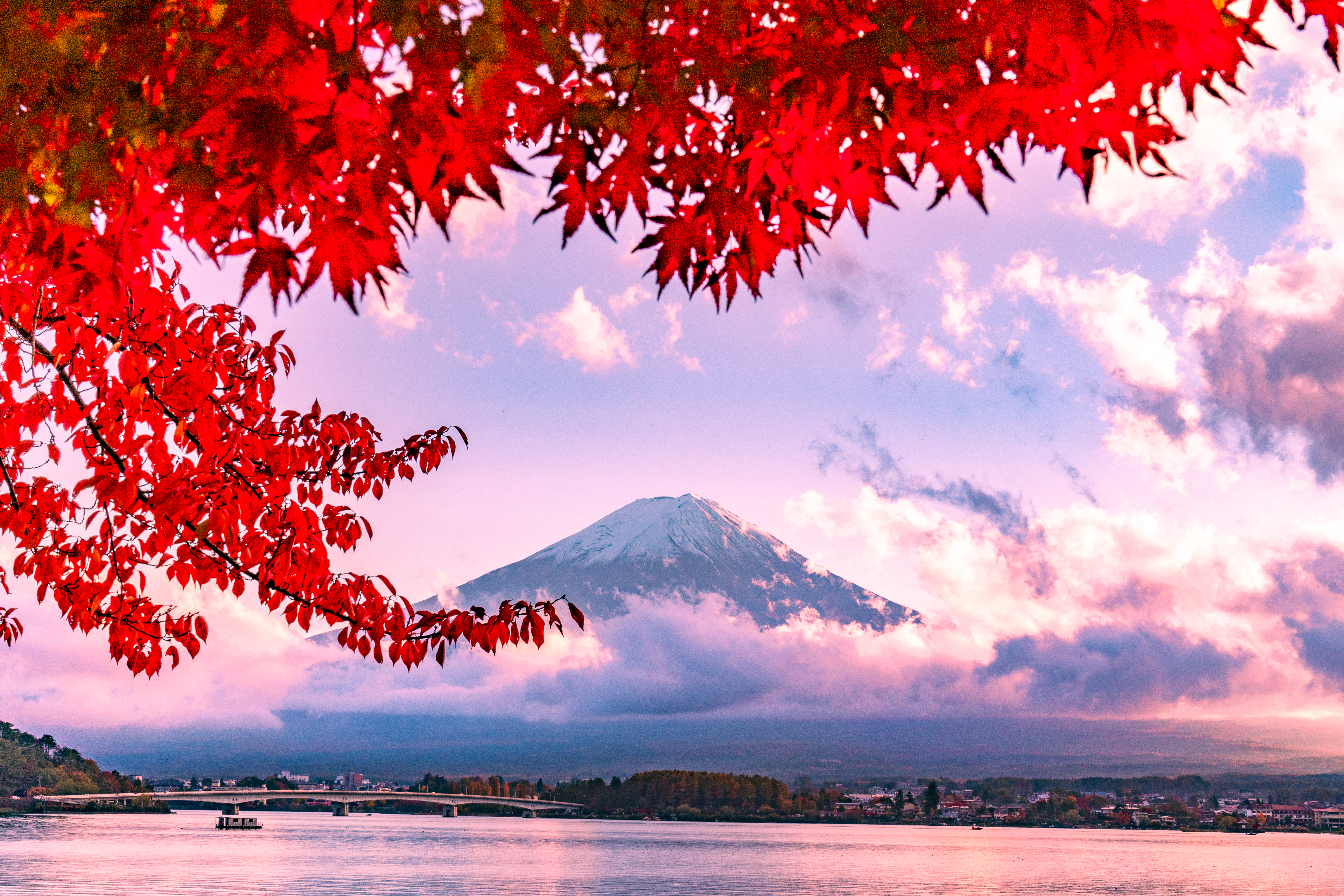 Mt. Fuji and Autumn Dusk