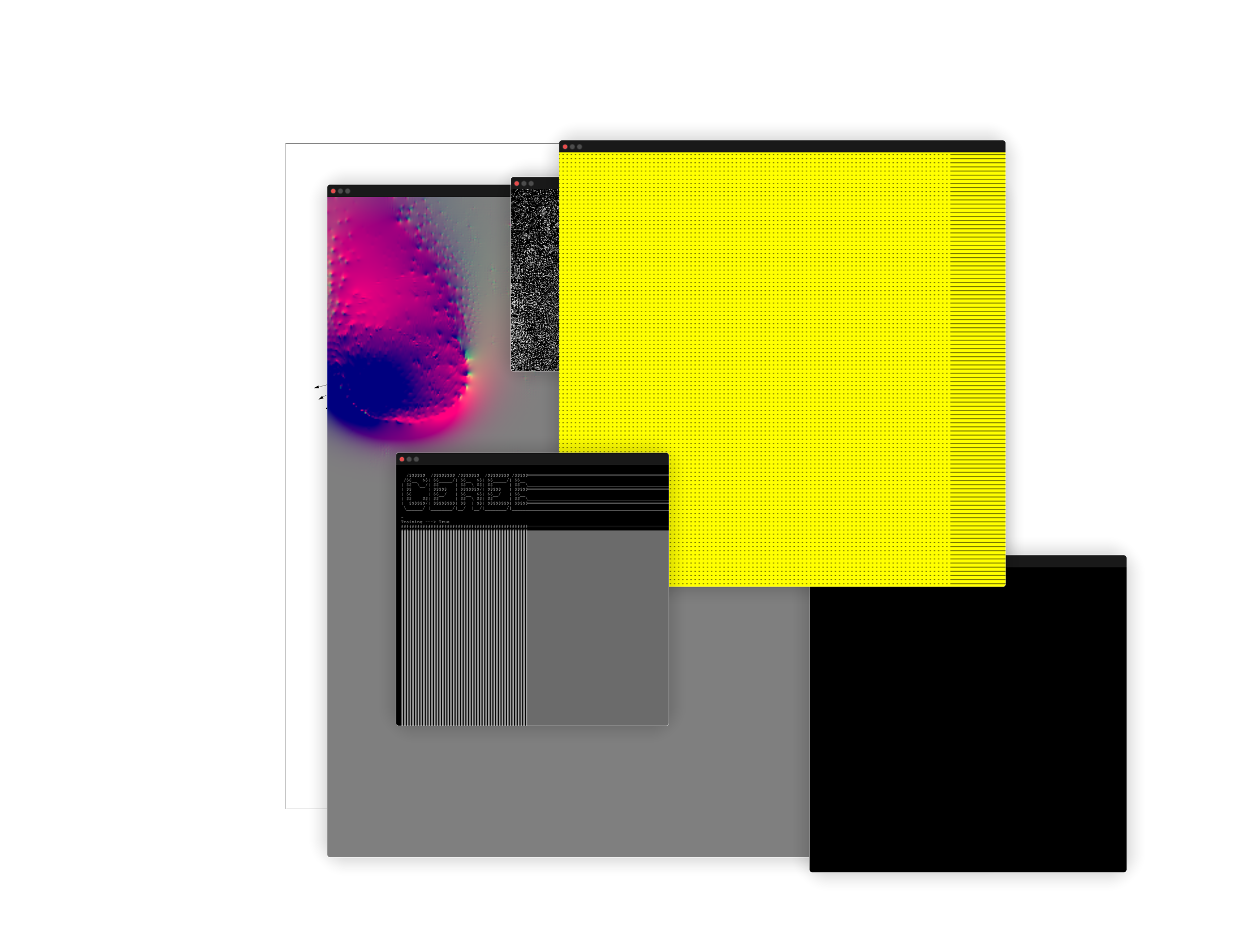 Cerebellum #67