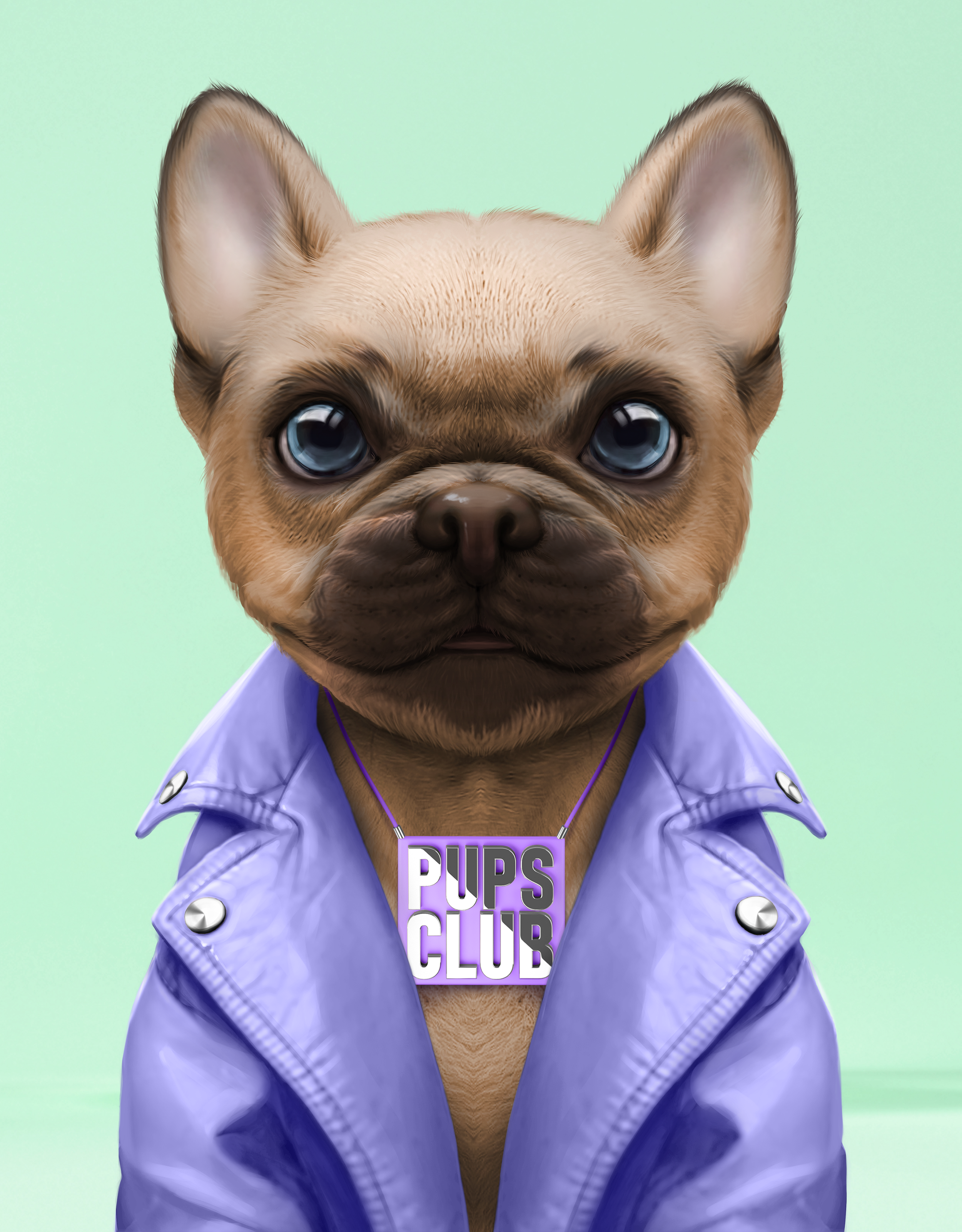 Pup #8660